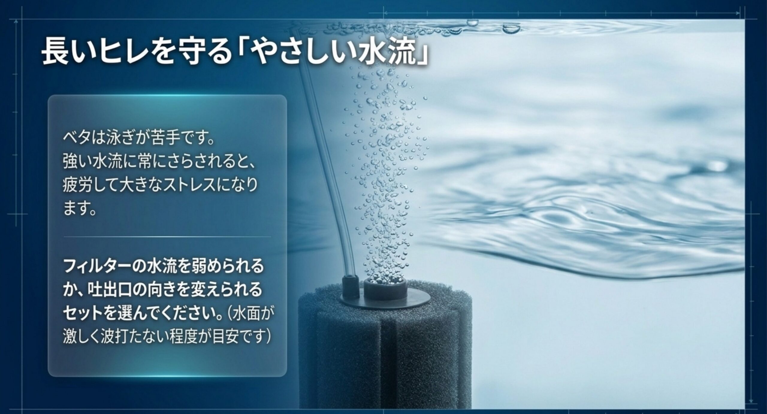 スポンジフィルターの弱い水流でベタの長いヒレを守る考え方を説明したスライド