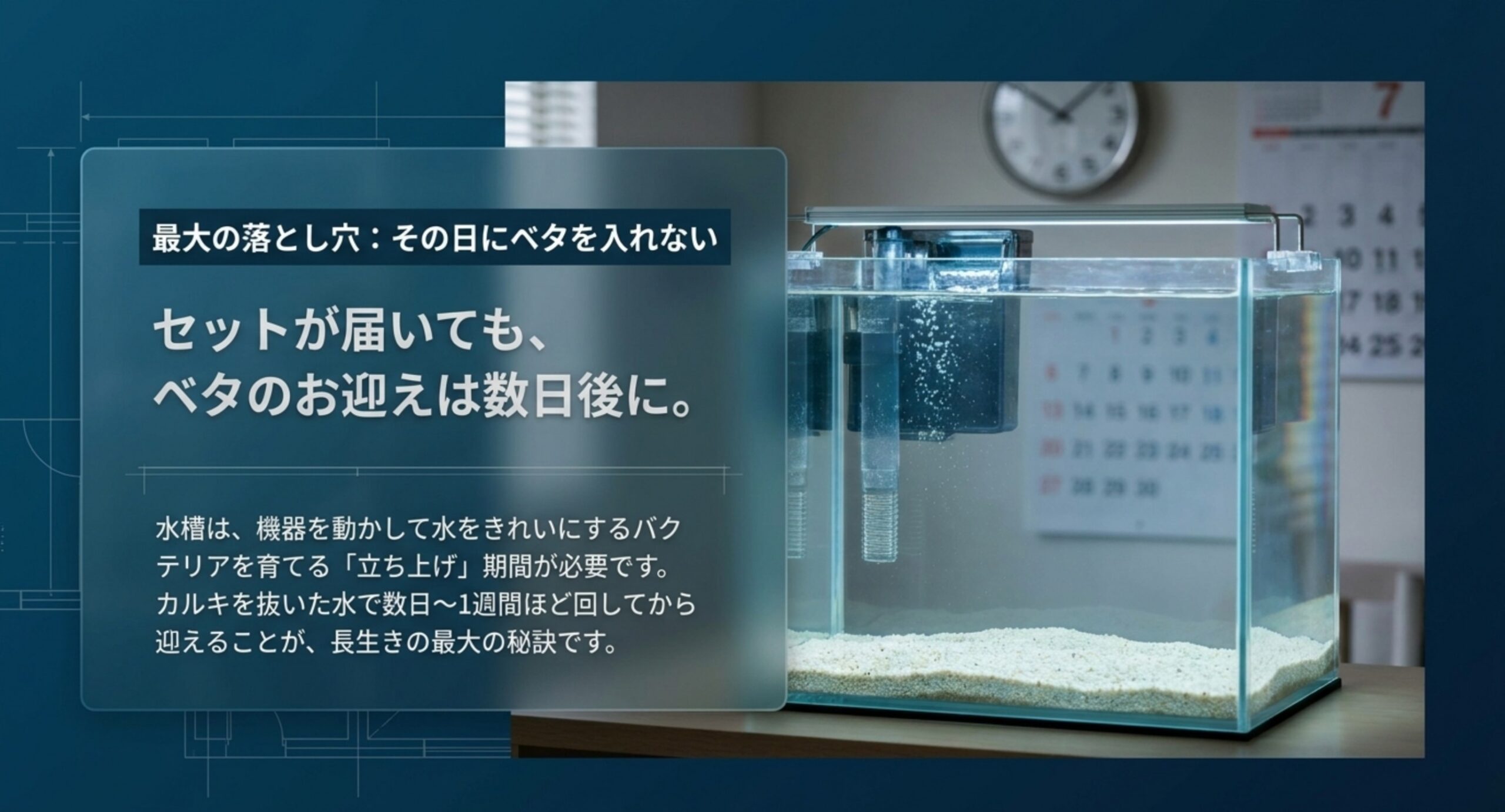 セット到着後に立ち上げ期間を取り、数日から1週間後にベタを迎える流れを示したスライド