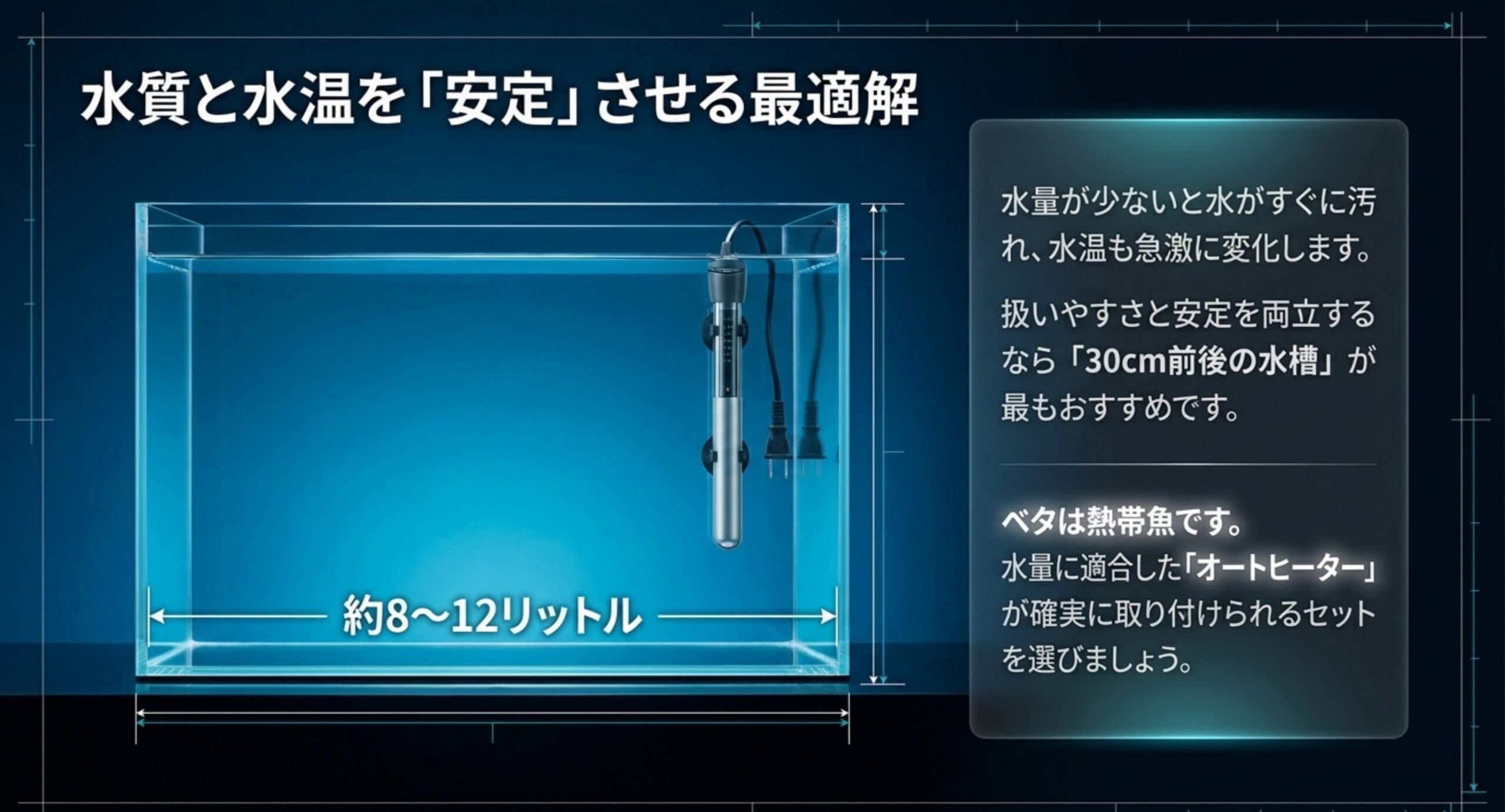 約8〜12リットルの30cm前後の水槽とヒーターで水質・水温を安定させる目安を示したスライド