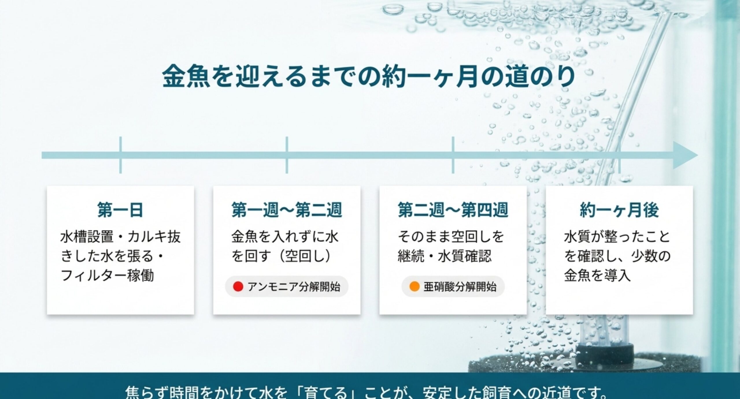 1日目の設置から約1か月後の少数導入まで、立ち上げの各段階を時系列で並べたスケジュール図