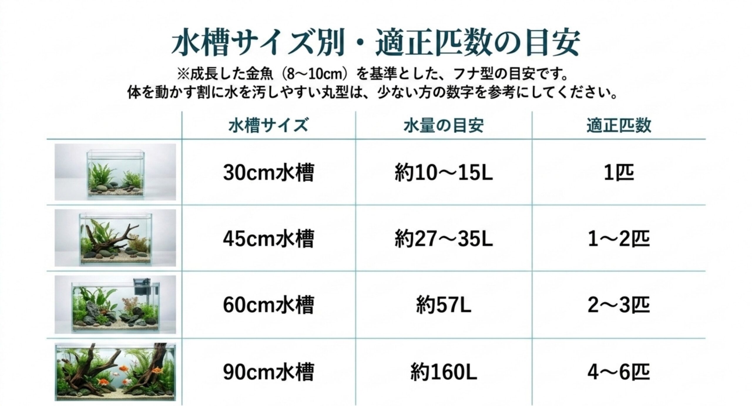 30cm・45cm・60cm・90cm水槽ごとの水量の目安と、成長した金魚の適正匹数をまとめた早見表のスライド