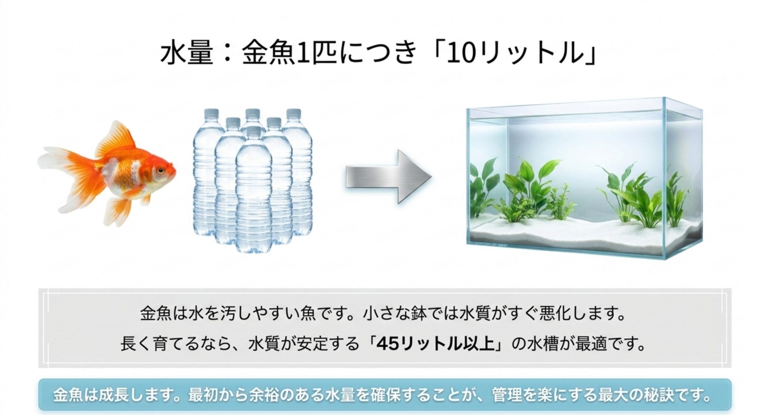 金魚1匹につき約10リットル、長く育てるなら45リットル以上の水槽が目安と示したスライド