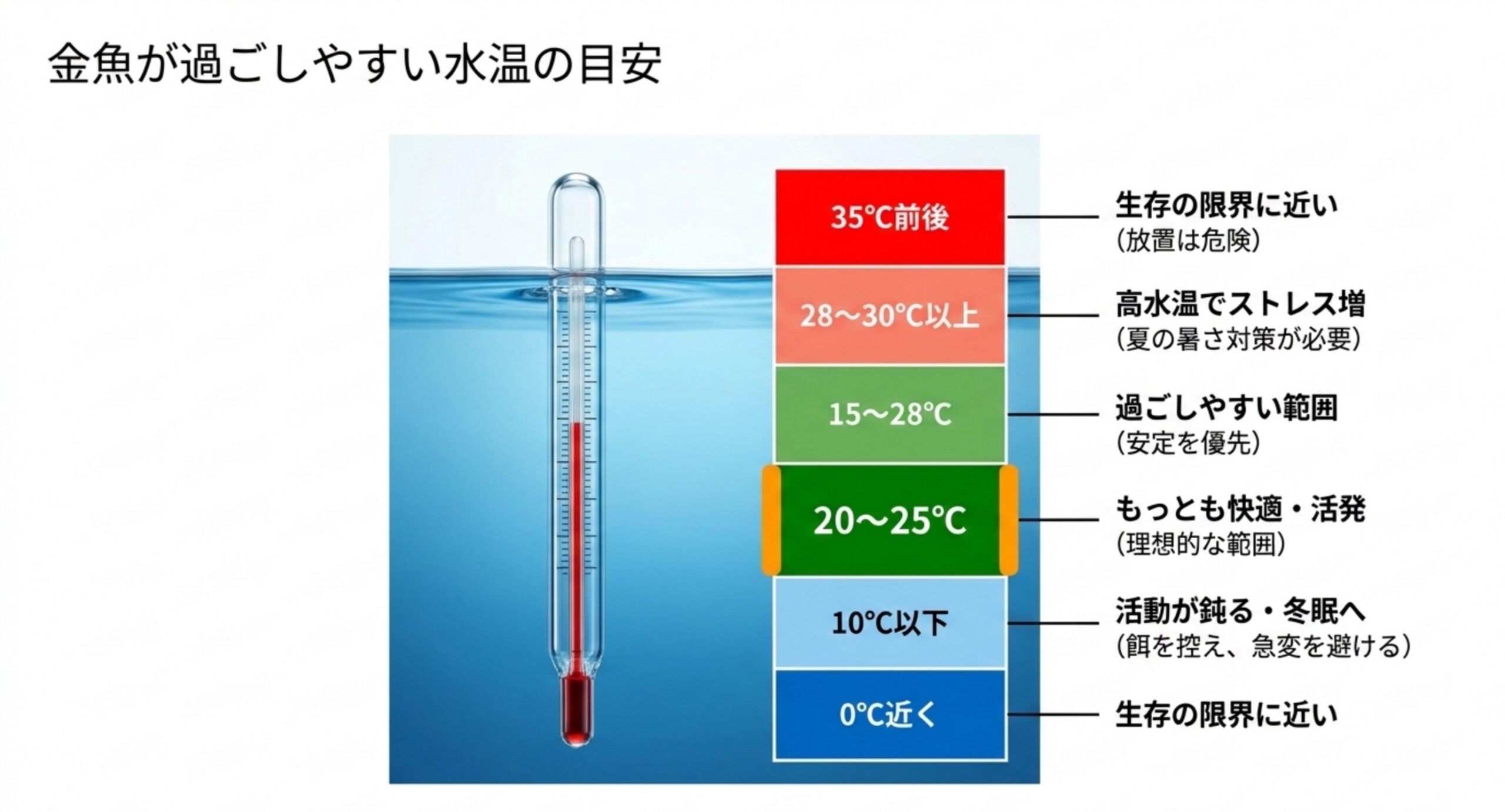 0℃近くから35℃前後まで、金魚の適温・過ごしやすい範囲・危険域を温度計で示した図