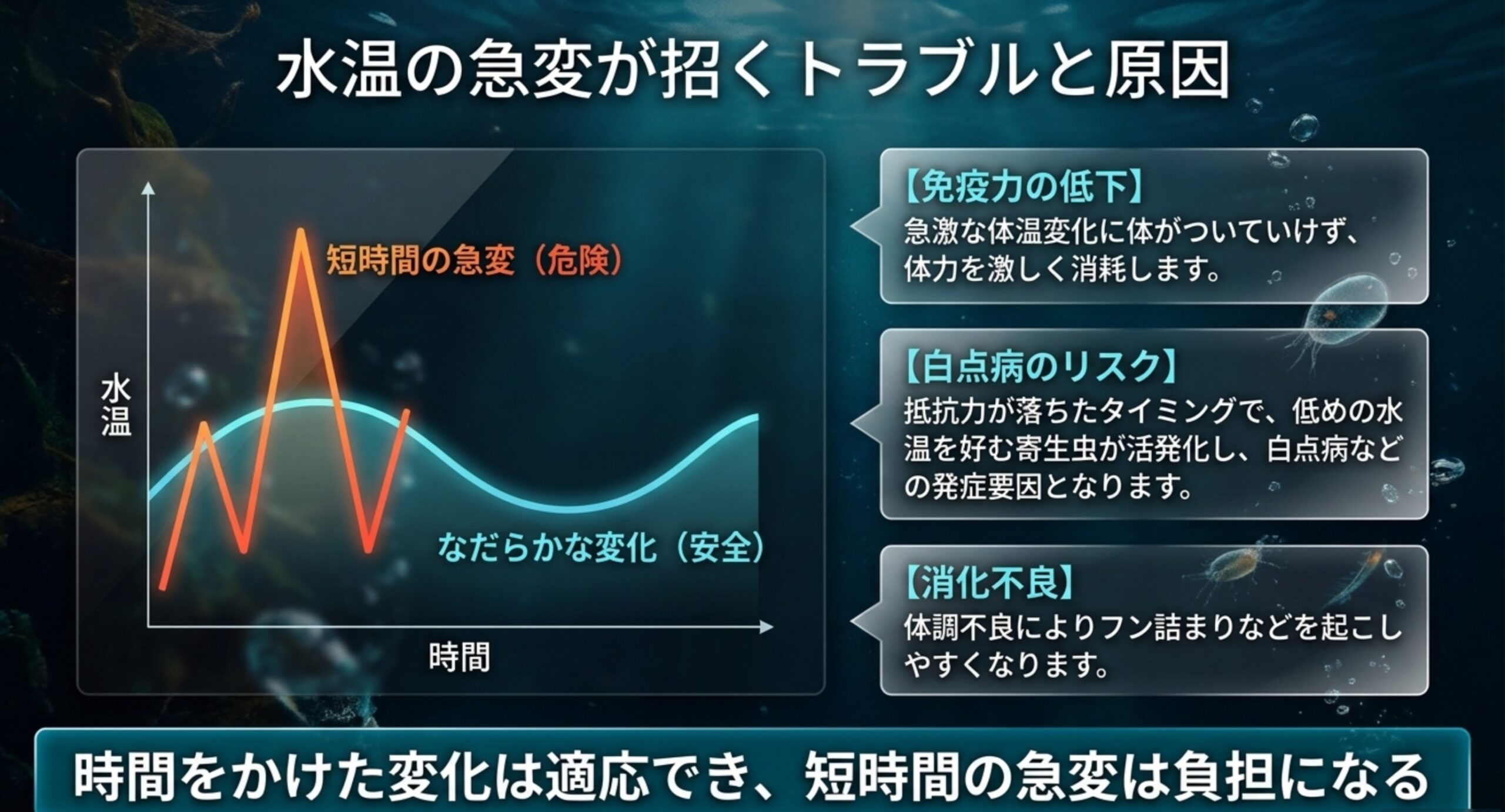 短時間の急変が免疫低下・白点病・消化不良を招き、なだらかな変化は安全であることを示した図