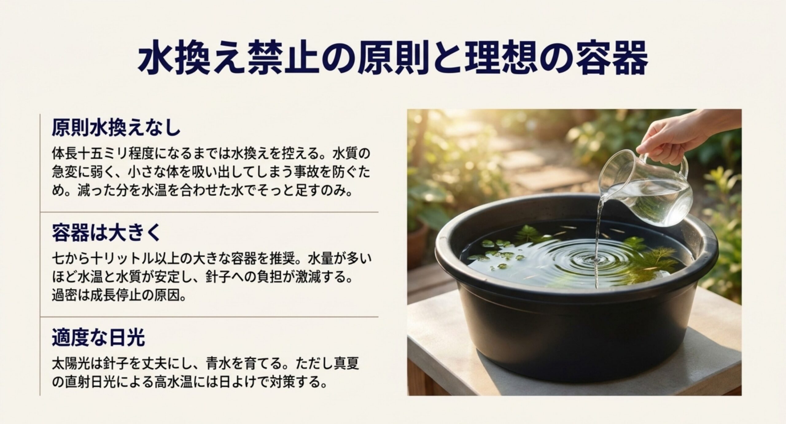 針子の時期は水換えを控え足し水にとどめること、大きめ容器と日光の図