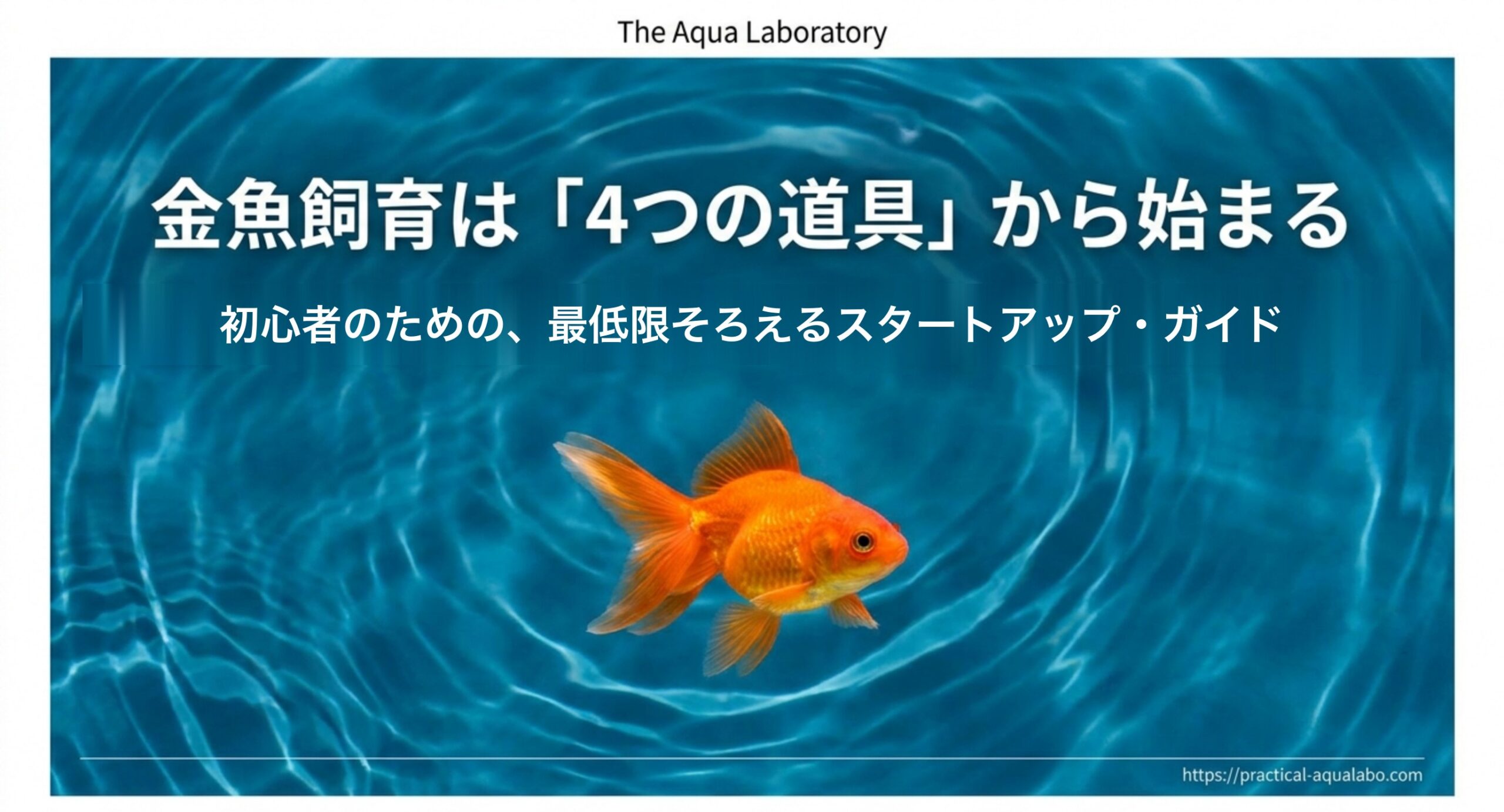 金魚初心者に必要なもの4選!最低限セットと費用目安