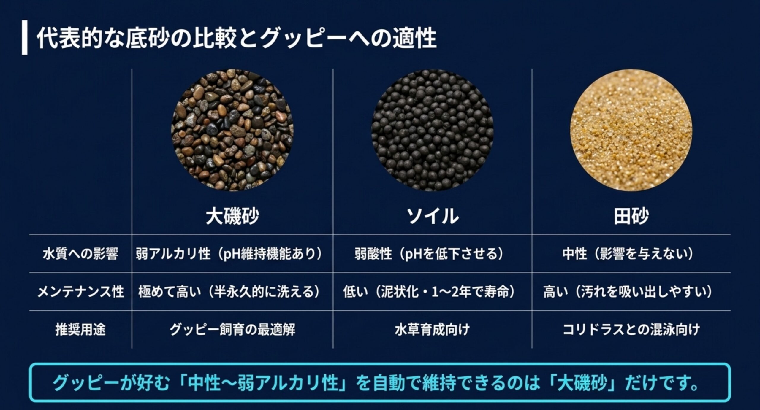 グッピーに合う底砂タイプの比較 大磯砂・ソイル・田砂それぞれの水質への影響とメンテナンス性を比較した一覧表
