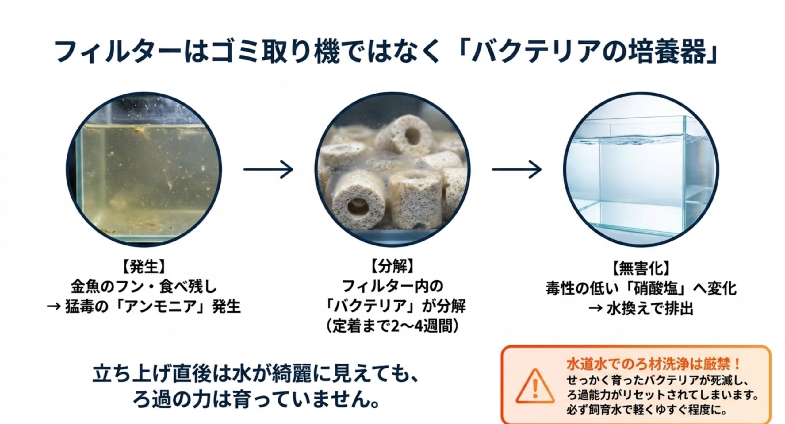 ろ過フィルターの生物ろ過(バクテリアによる分解)の仕組み 金魚のフンや食べ残しから発生するアンモニアをフィルター内のバクテリアが分解し毒性の低い硝酸塩へ変える生物ろ過の流れ図