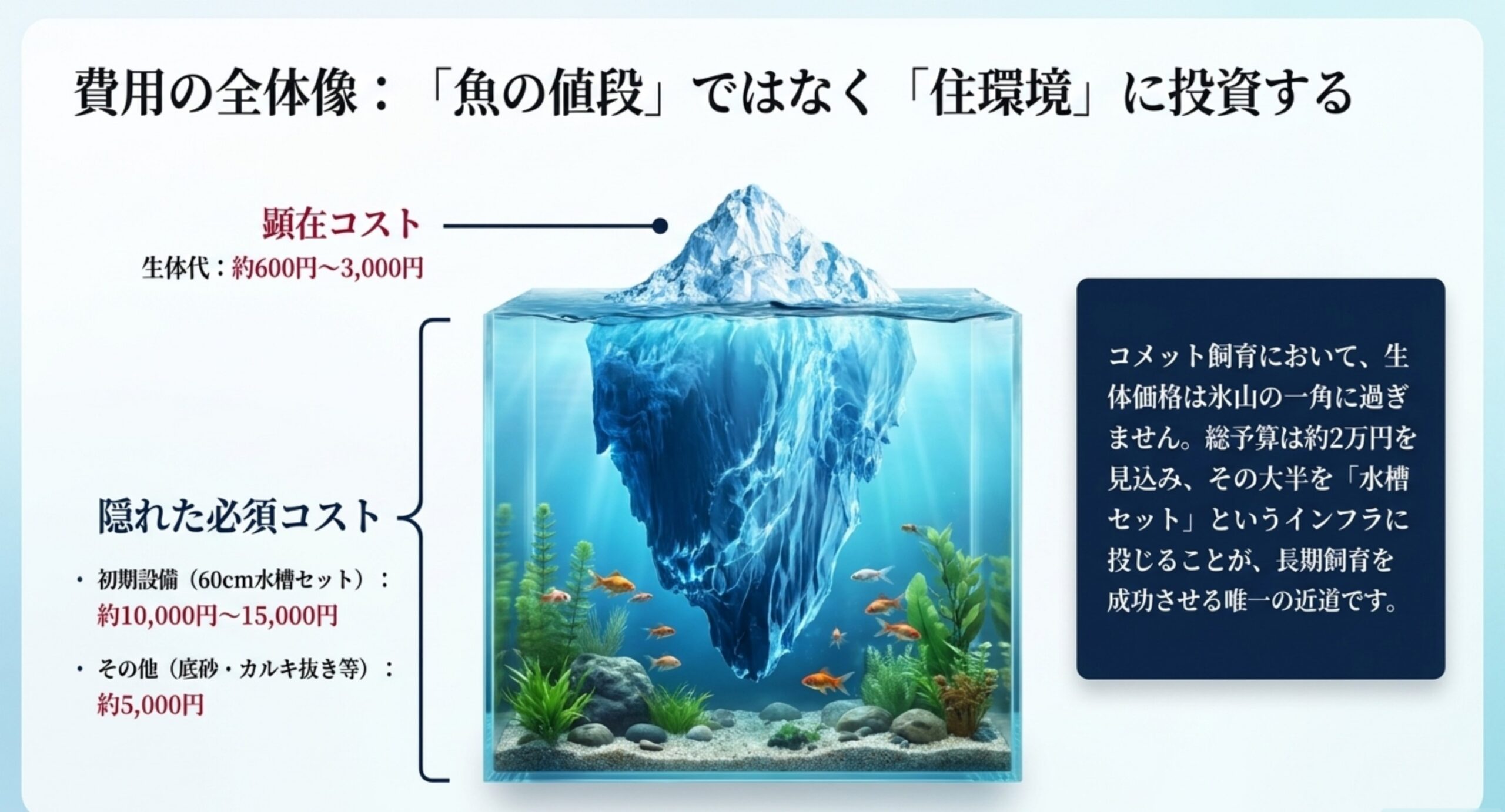 生体代は氷山の一角で総予算約2万円の大半を水槽など住環境が占めることを示す図解