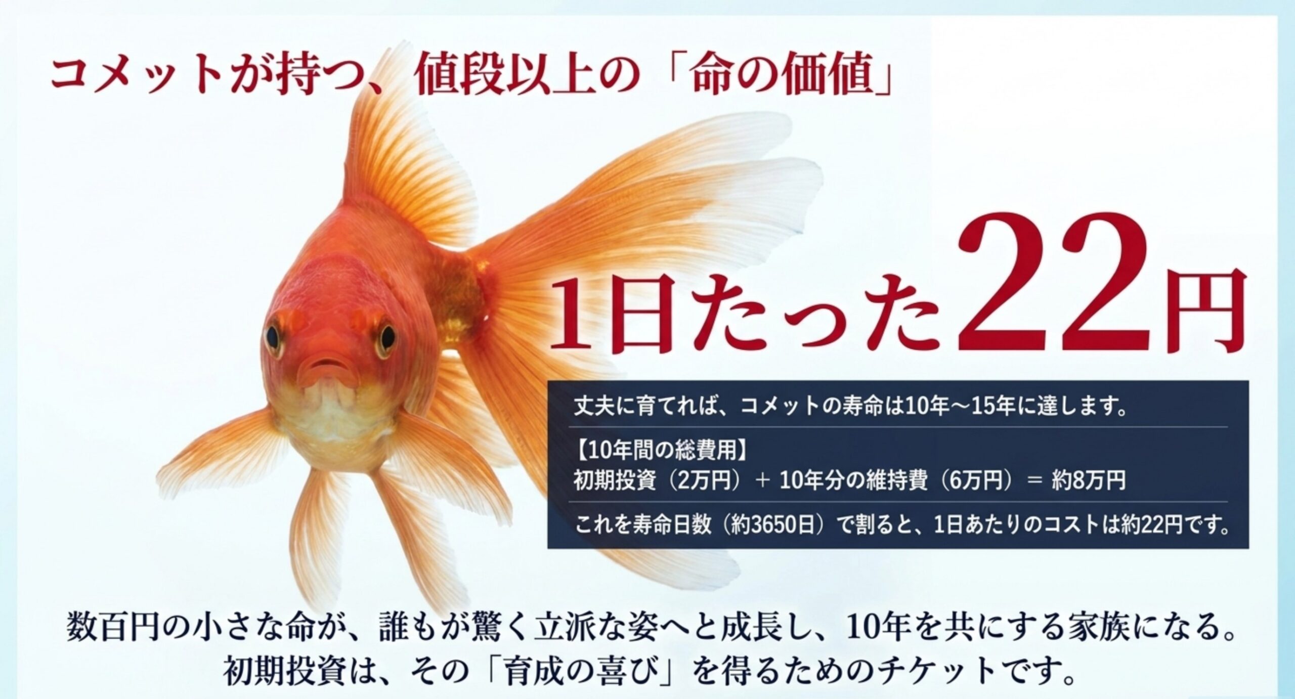 10年間の総費用約8万円を寿命日数で割ると1日約22円になることを示す図解