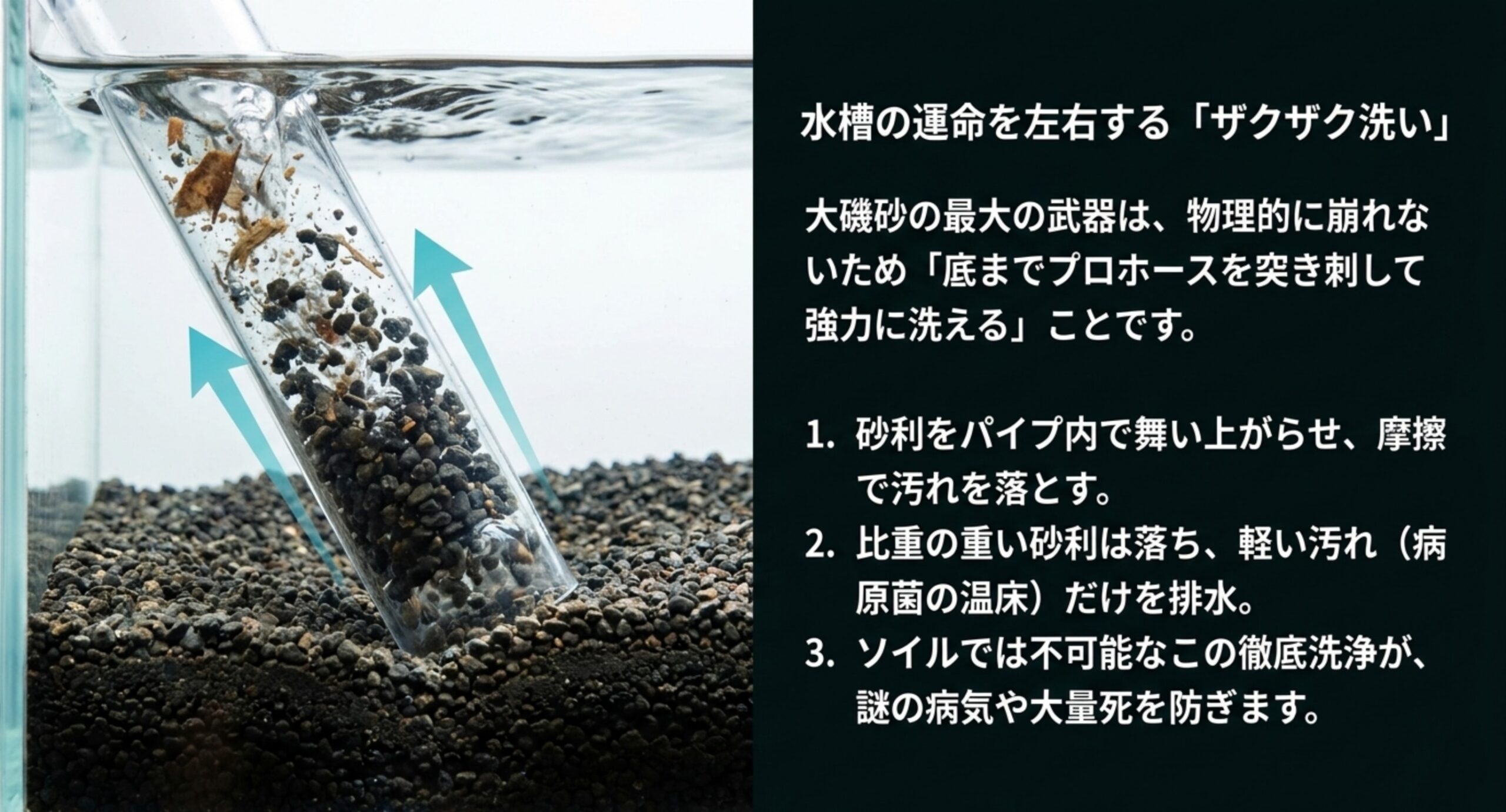 プロホースを使った大磯砂の掃除方法 プロホースを底砂に差し込み砂利を舞い上げて汚れだけを吸い出すザクザク洗いの図解