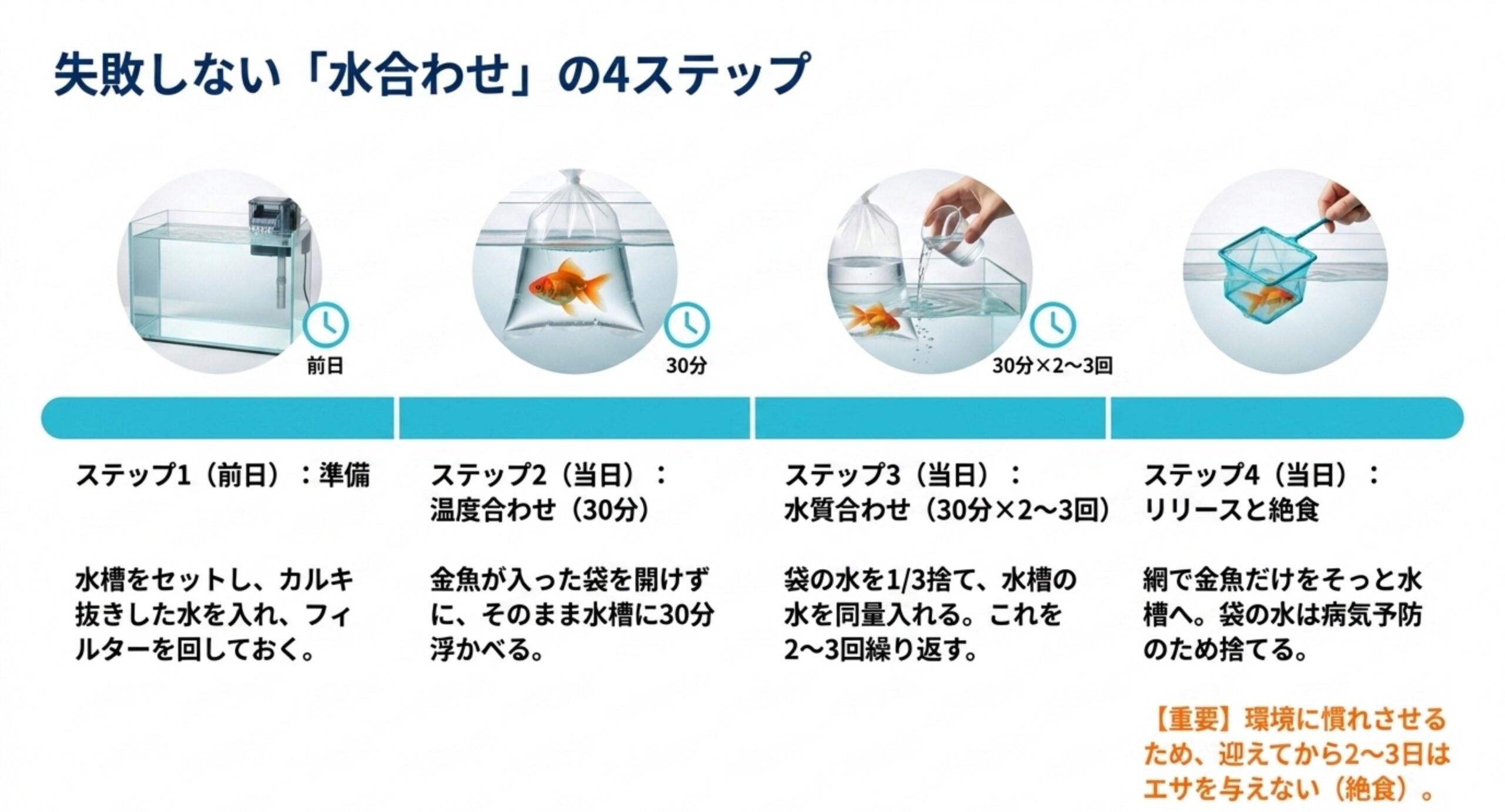 失敗しない水合わせの4ステップ 前日準備・温度合わせ30分・水質合わせ30分×2〜3回・リリースと絶食という水合わせ4ステップの図解