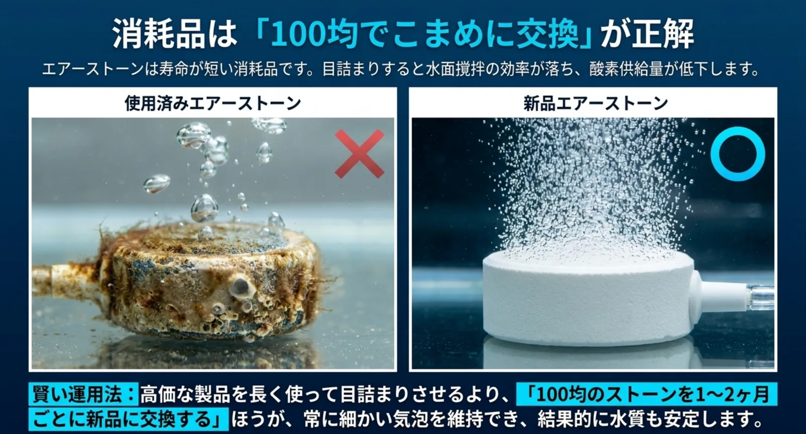 目詰まりした使用済みエアーストーンと新品の比較図
