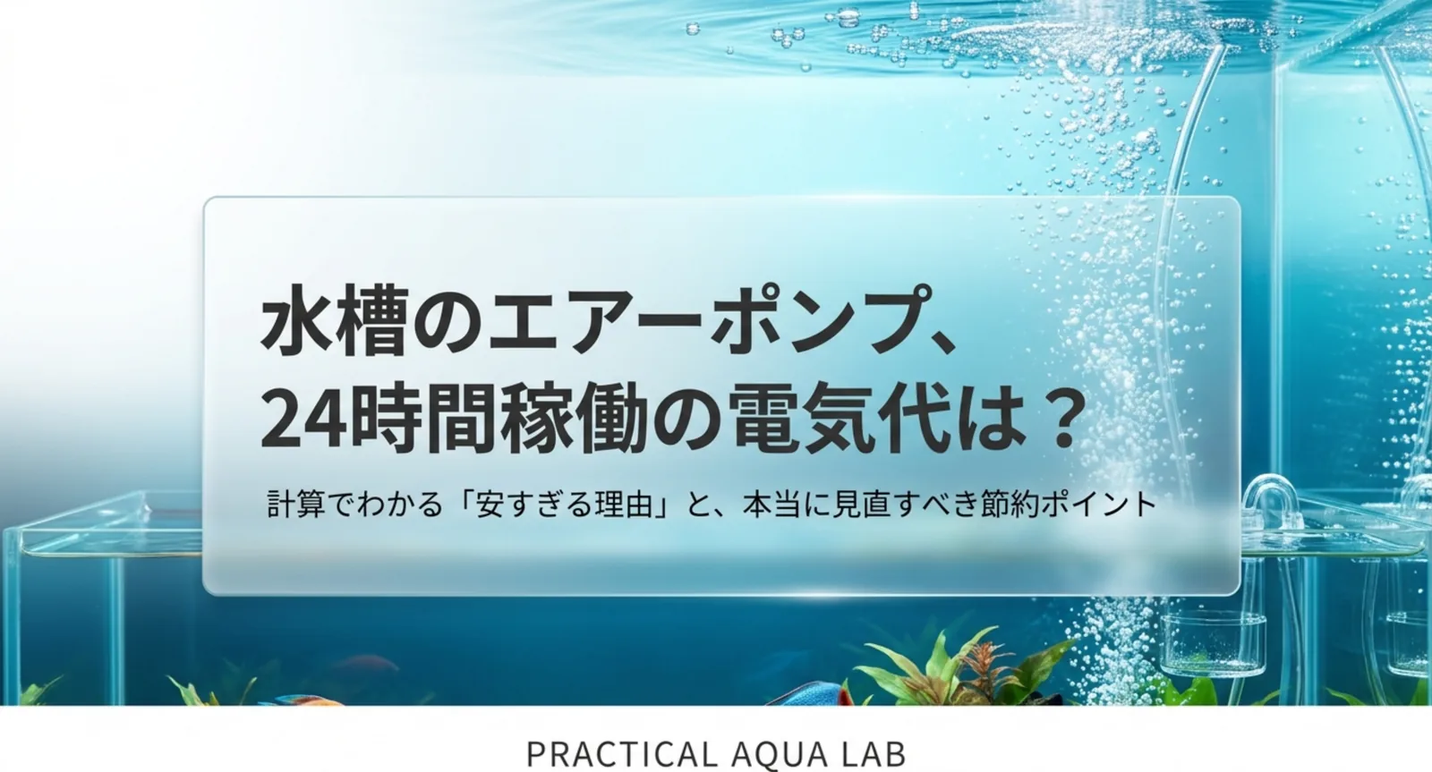 水槽のエアーポンプの電気代はいくら？計算方法と節約の考え方