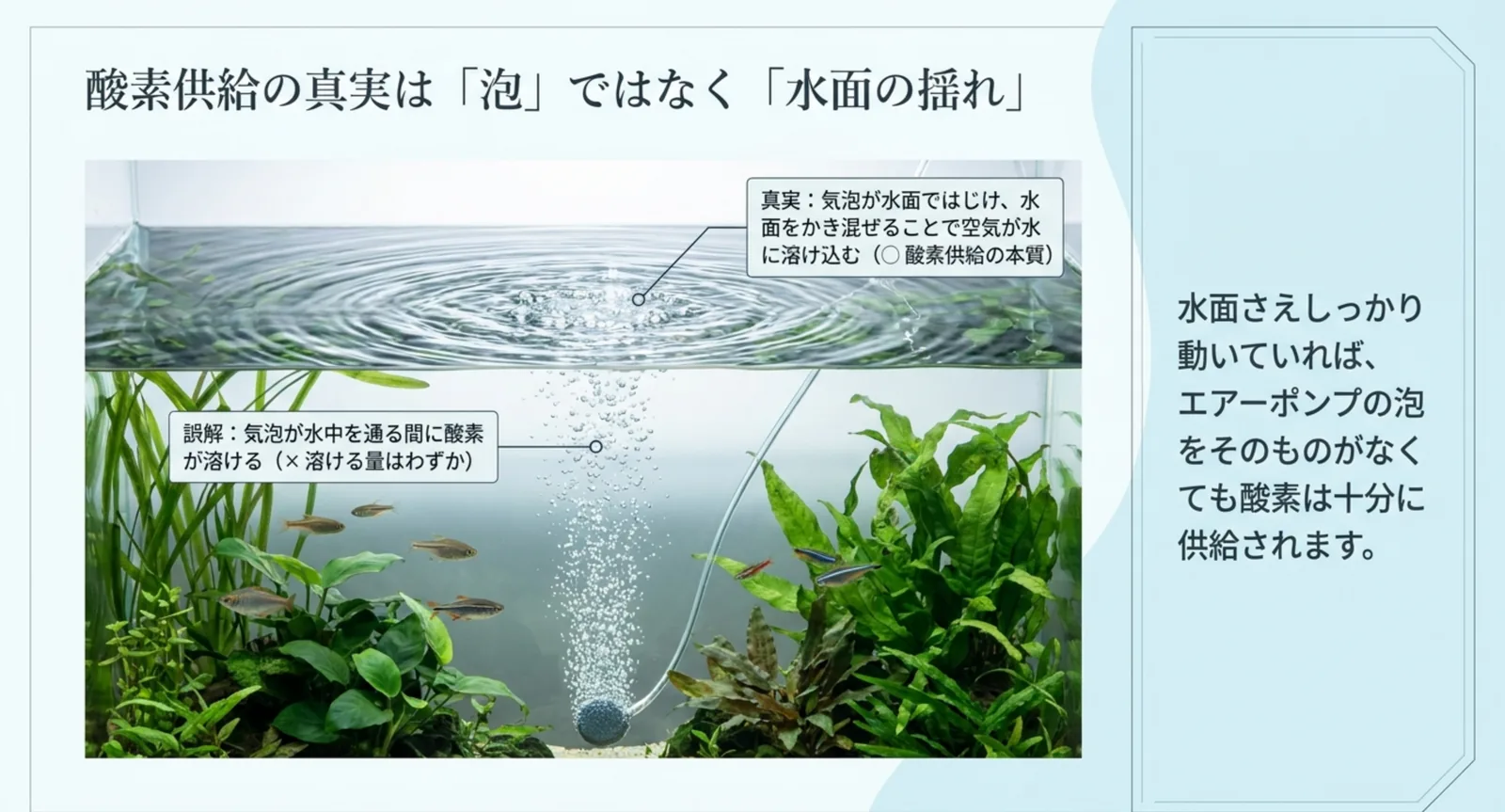 エアーポンプの気泡ではなく水面撹拌が酸素供給の主因であることを示す図解