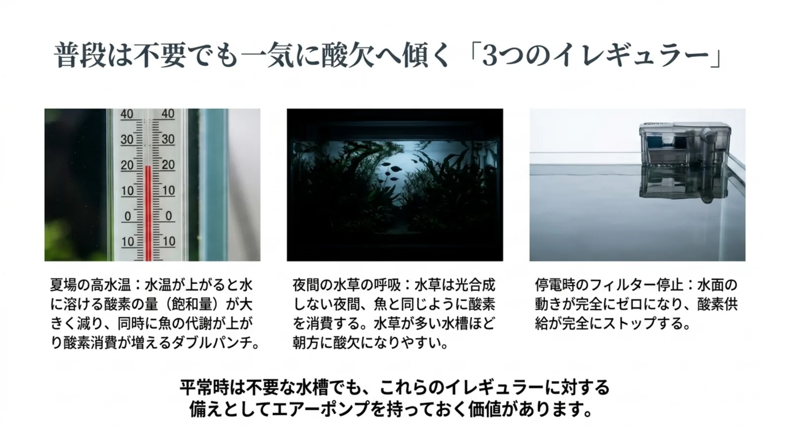 夏場の高水温・夜間の水草の呼吸・停電という酸欠が起きやすい3つの状況の図解