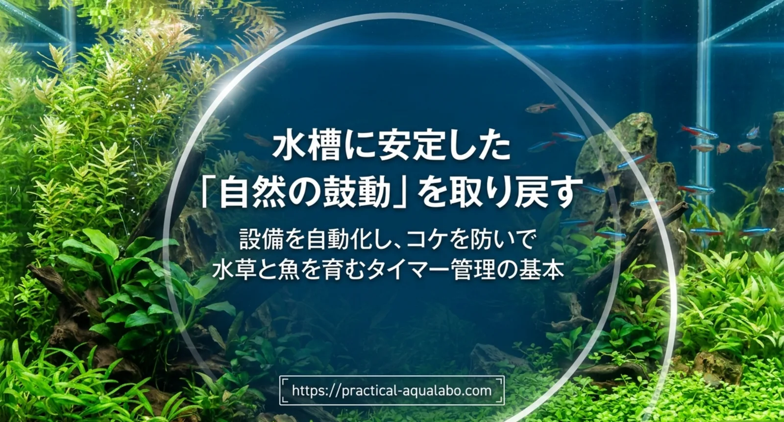 水草水槽と熱帯魚を背景に、ライトのタイマー管理をテーマにしたタイトル画像