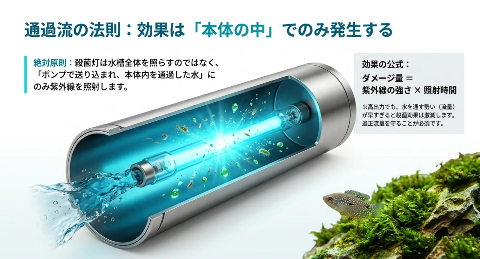 殺菌灯の内部構造と紫外線が水を照射する仕組みの図解