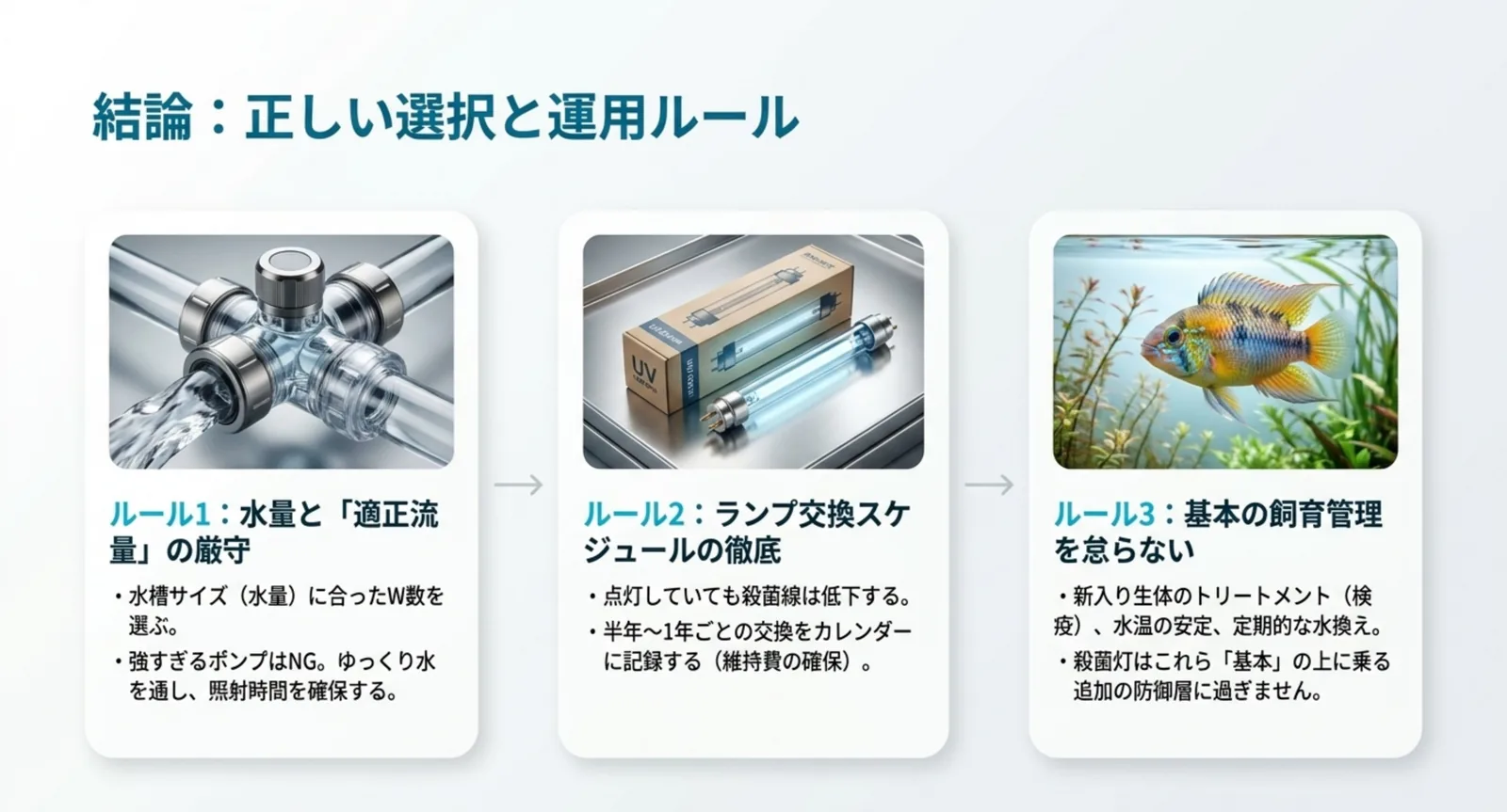 適正流量の厳守・ランプ交換の徹底・基本の飼育管理という運用ルールの図解