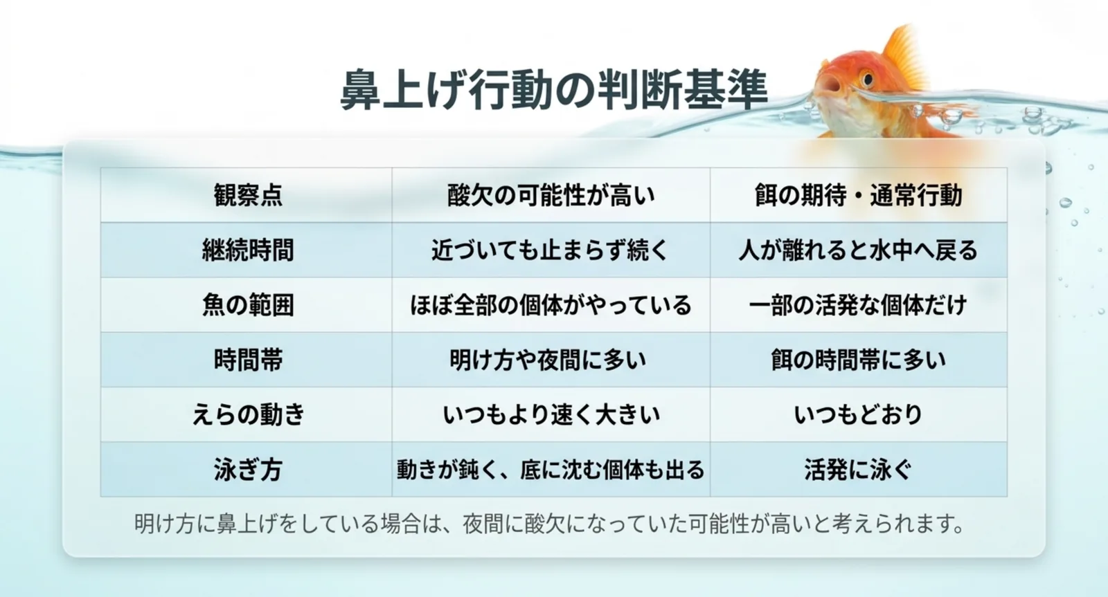 継続時間・魚の範囲・時間帯・えらの動き・泳ぎ方の五点で、鼻上げが酸欠によるものか餌の期待によるものかを比較した表のスライド