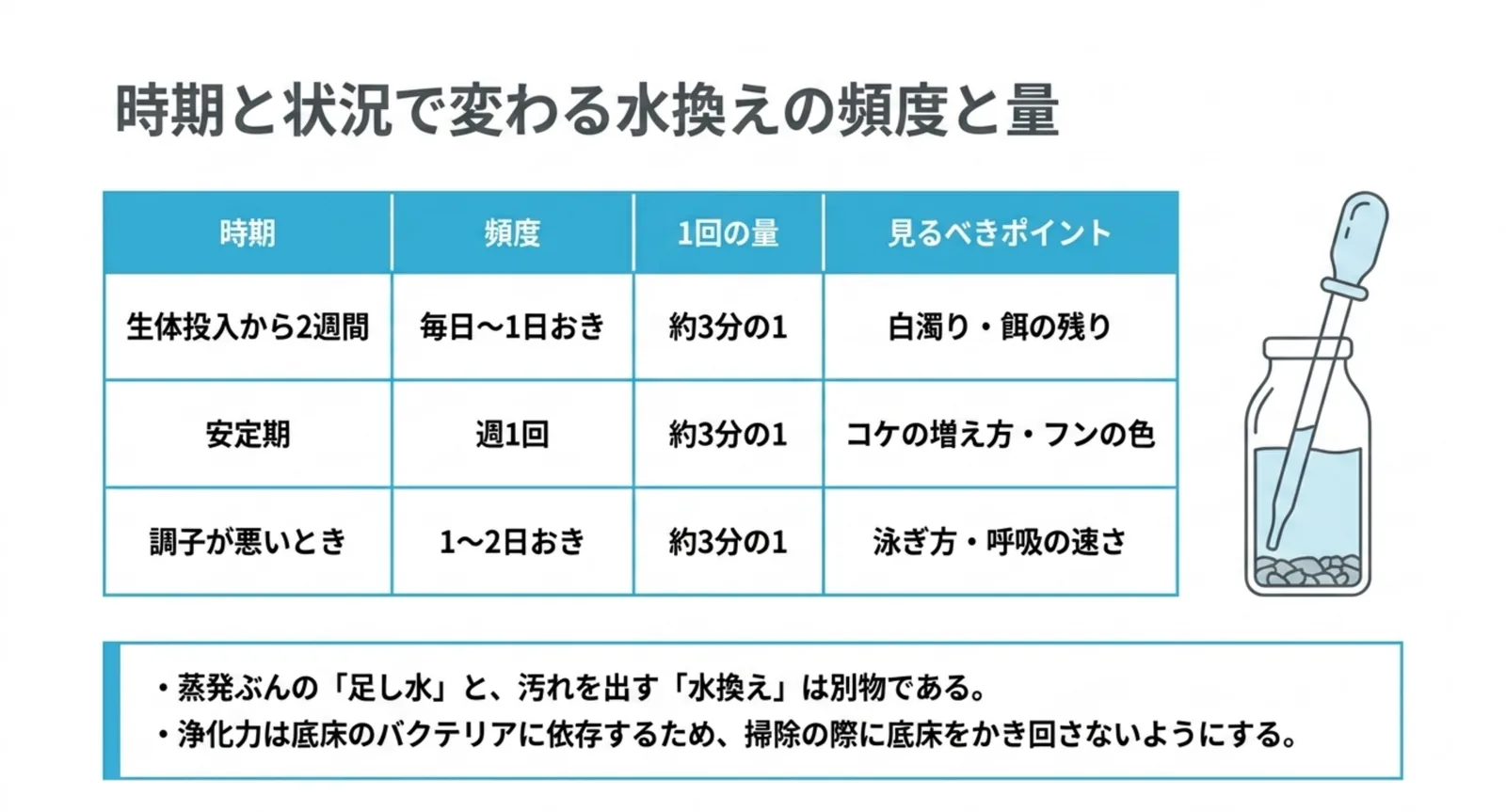 生体投入から2週間・安定期・調子が悪いときの3つの時期ごとに水換えの頻度と量と見るべき点をまとめた表のスライド