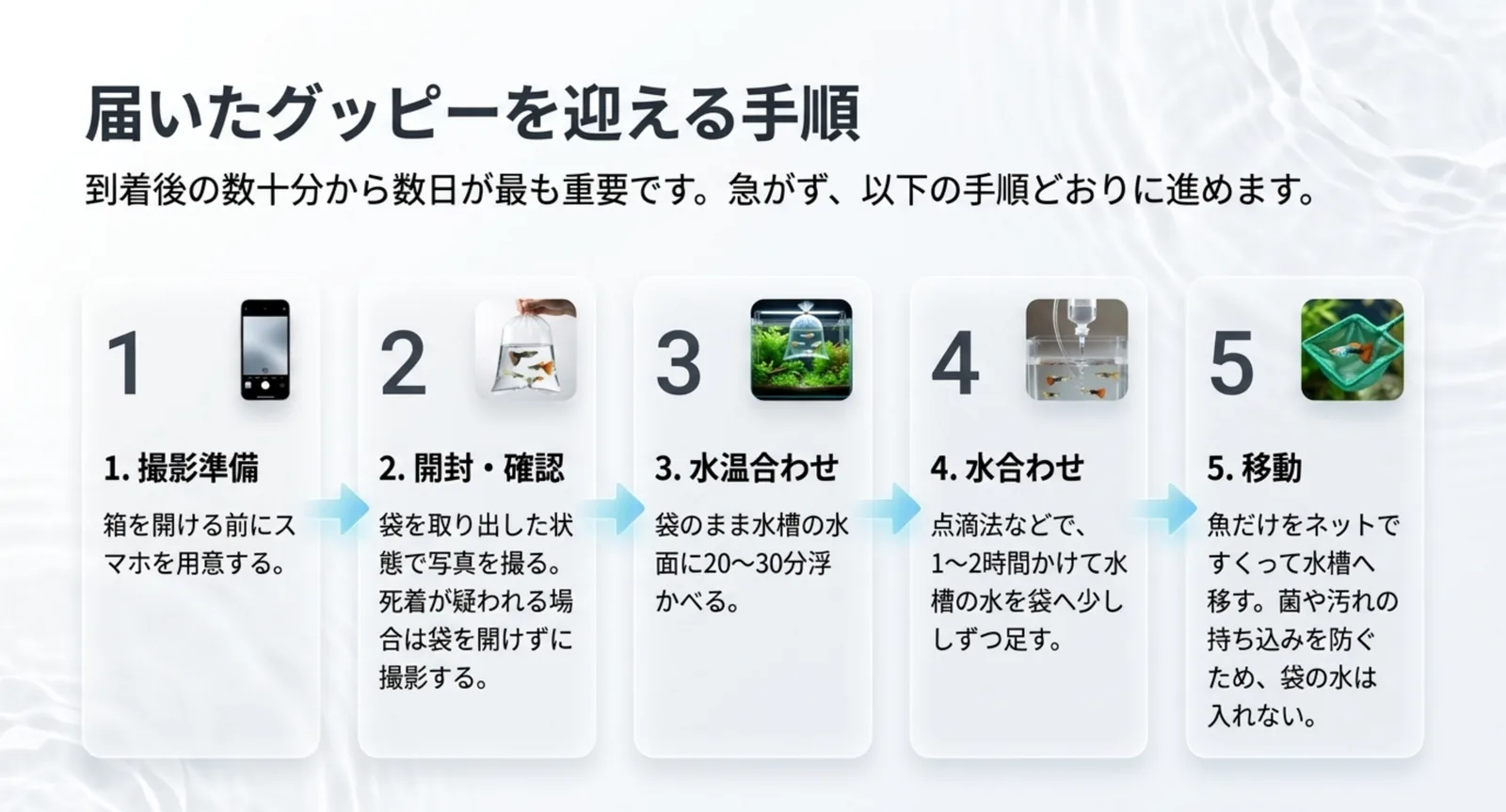 届いたグッピーを迎える5つの手順を示した図