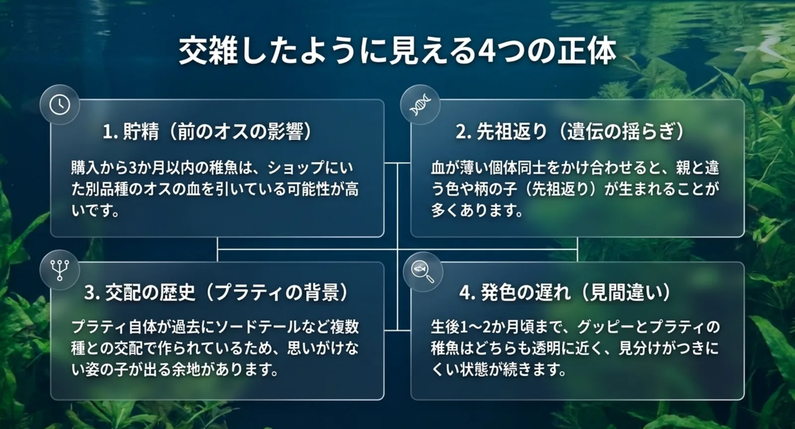 貯精・先祖返り・交配の歴史・発色の遅れという四つの原因を並べた図版