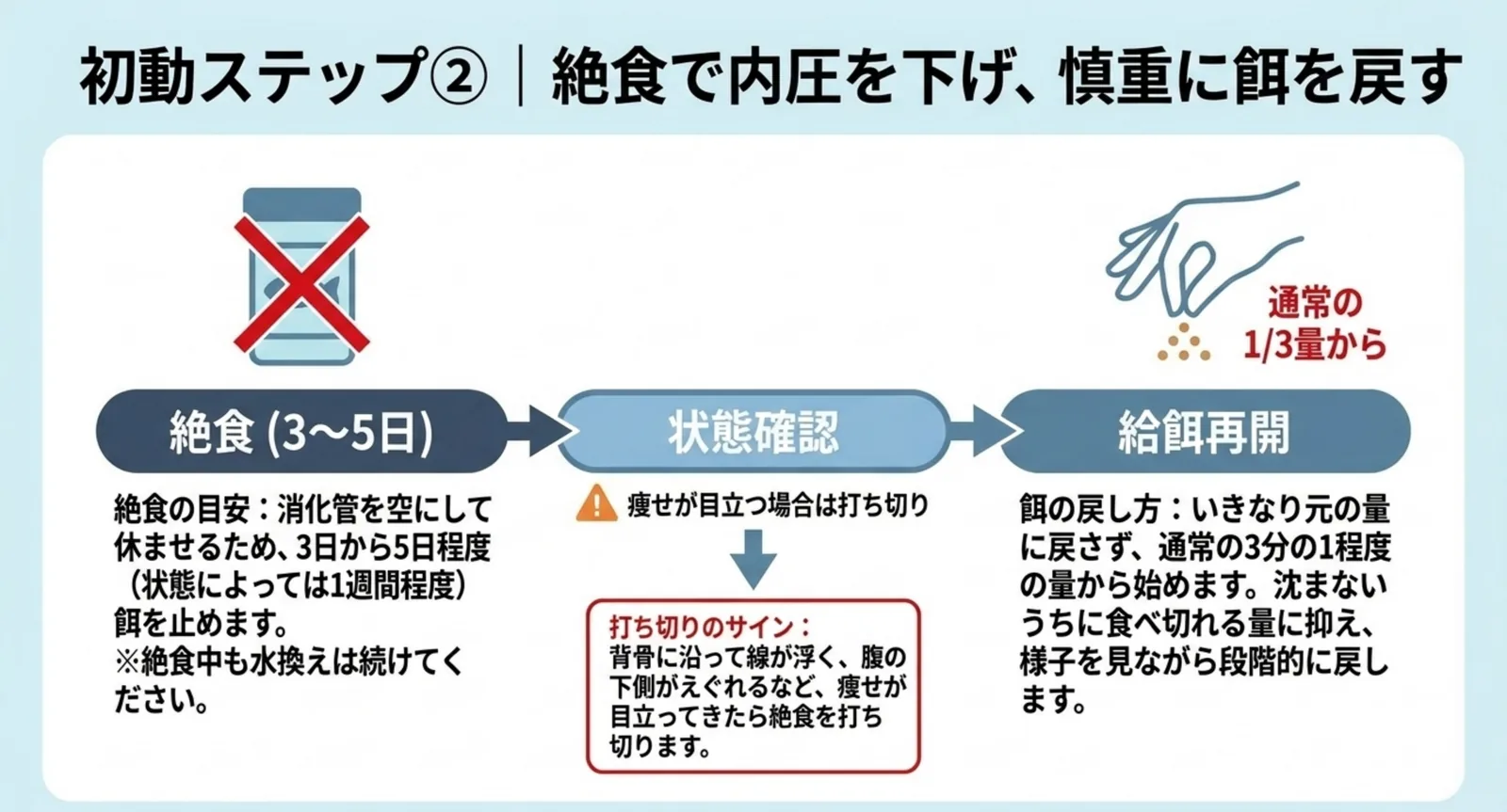 絶食3〜5日から状態確認を挟み、通常の3分の1量で給餌を再開するまでの流れと打ち切りのサインをまとめたスライド