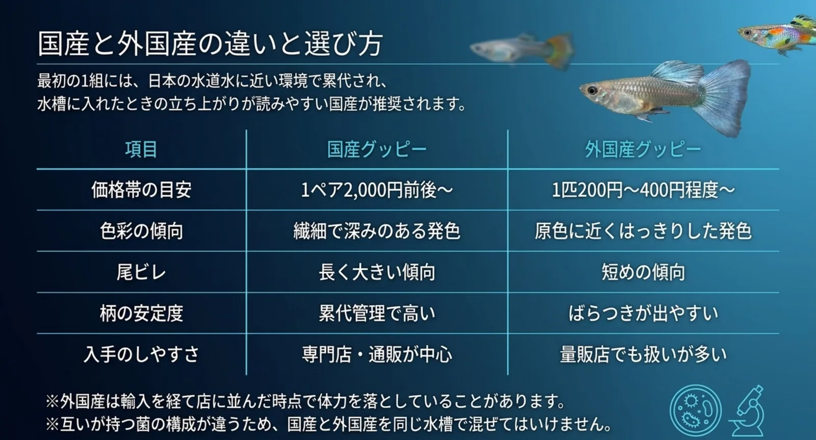 国産グッピーと外国産グッピーの価格や色彩を比べた表