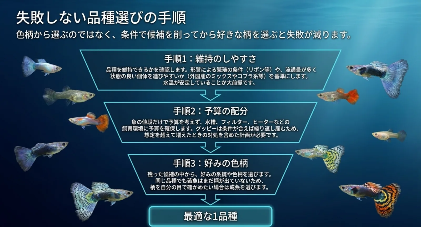 維持のしやすさ・予算・好みの色柄の順で品種を絞る手順の図