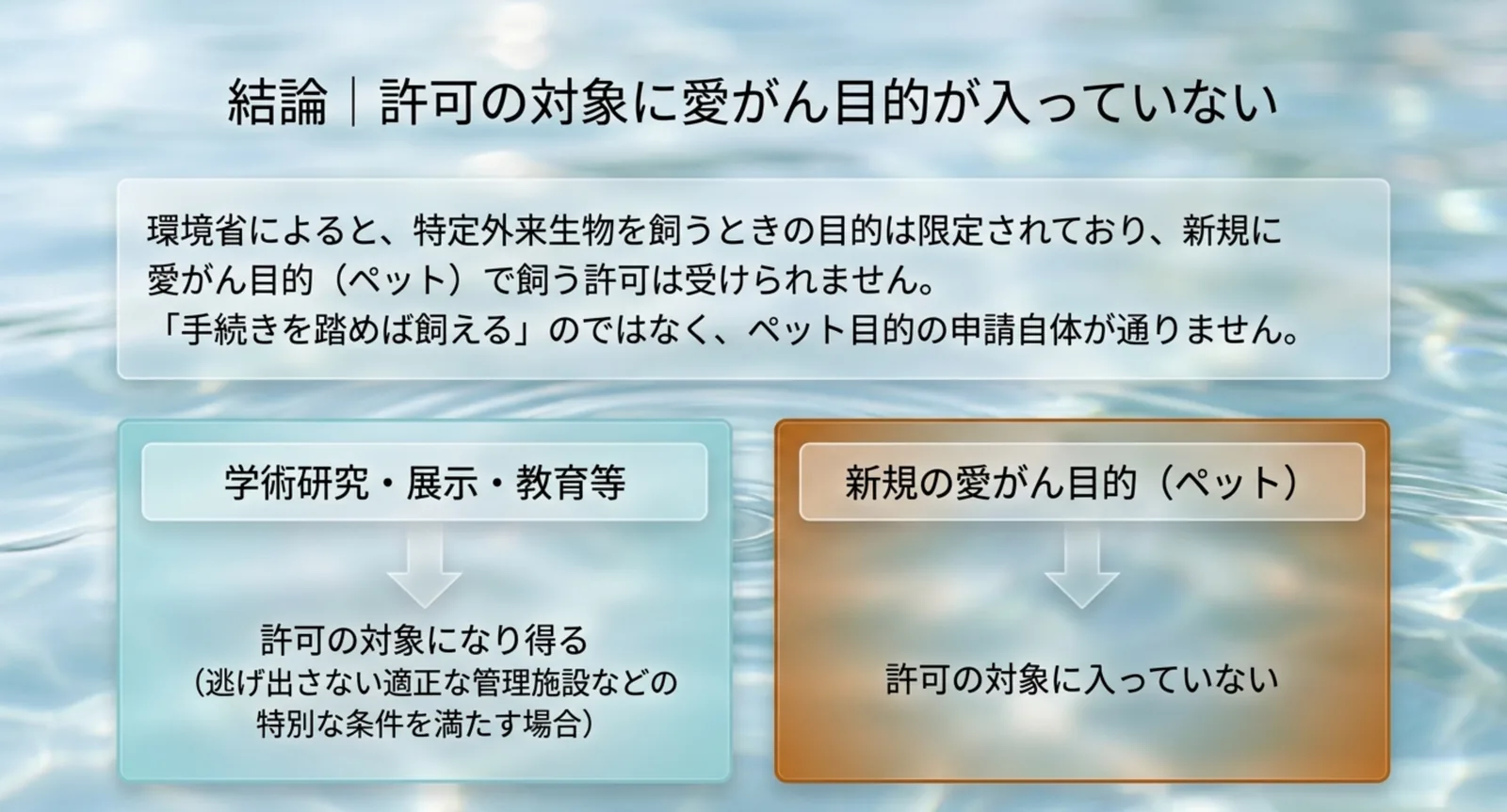 学術研究や展示等は許可の対象になり得る一方、新規の愛がん目的は許可の対象に入っていないことを二つに分けて示したスライド