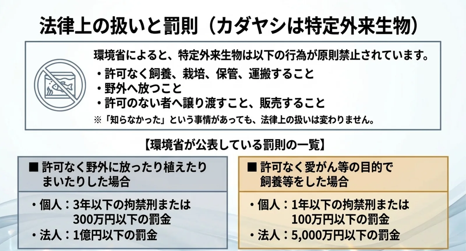 特定外来生物について原則禁止されている行為と、野外放出および愛がん目的の飼養それぞれの罰則を個人と法人に分けて示したスライド