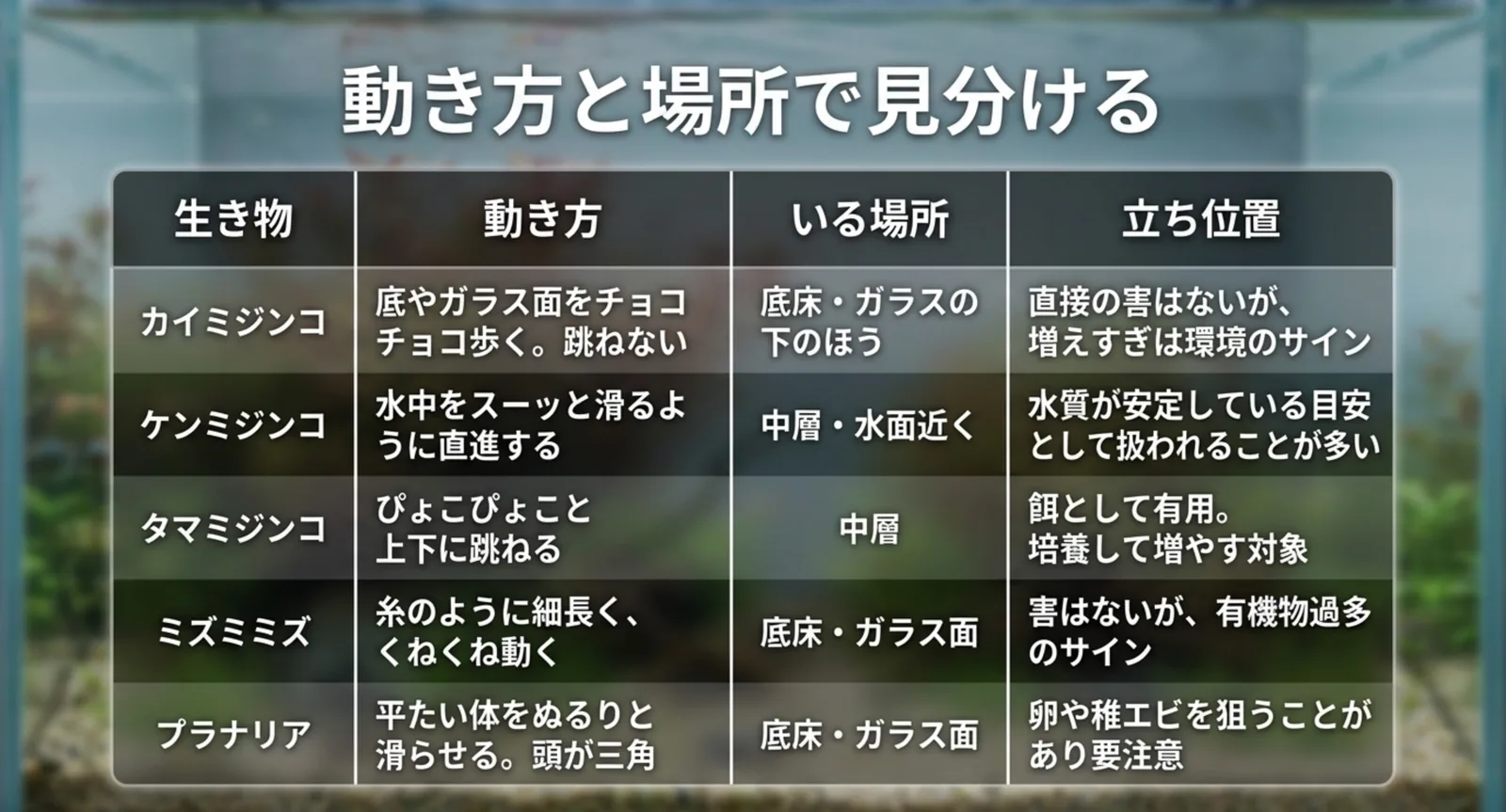 カイミジンコ・ケンミジンコ・タマミジンコ・ミズミミズ・プラナリアを動き方と居場所で比較した表のスライド
