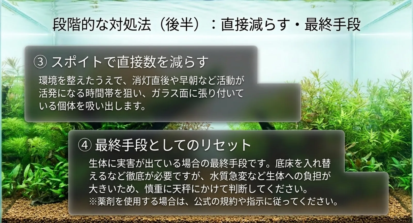 スポイトでの回収と最終手段のリセットについて、生体への負担を含めて整理したスライド