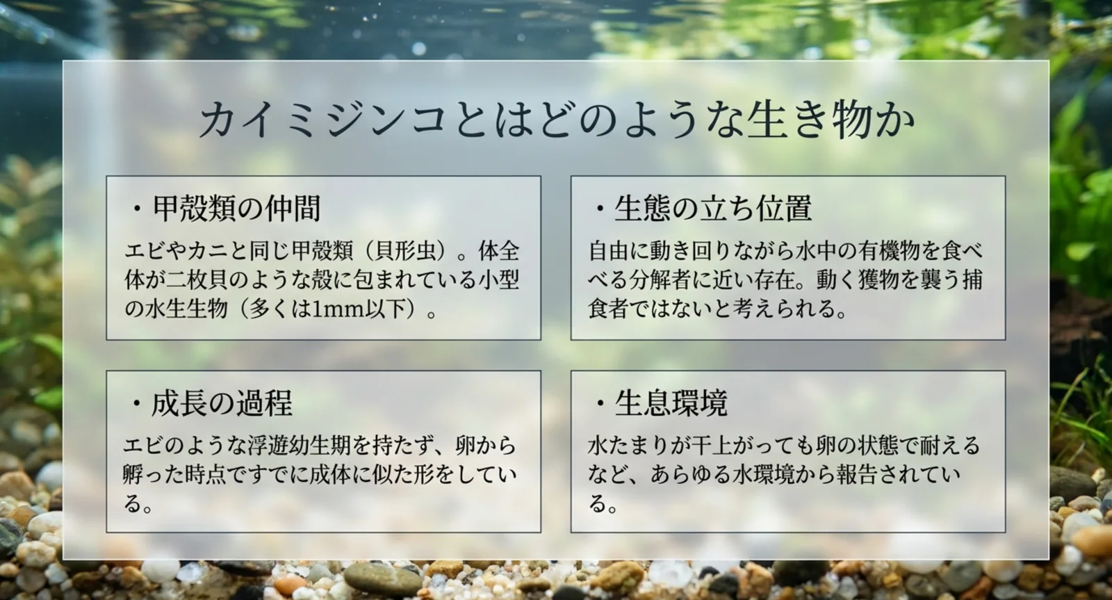 カイミジンコが甲殻類(貝形虫)で多くは1mm以下、分解者に近い立ち位置であることを4つの枠で整理した図