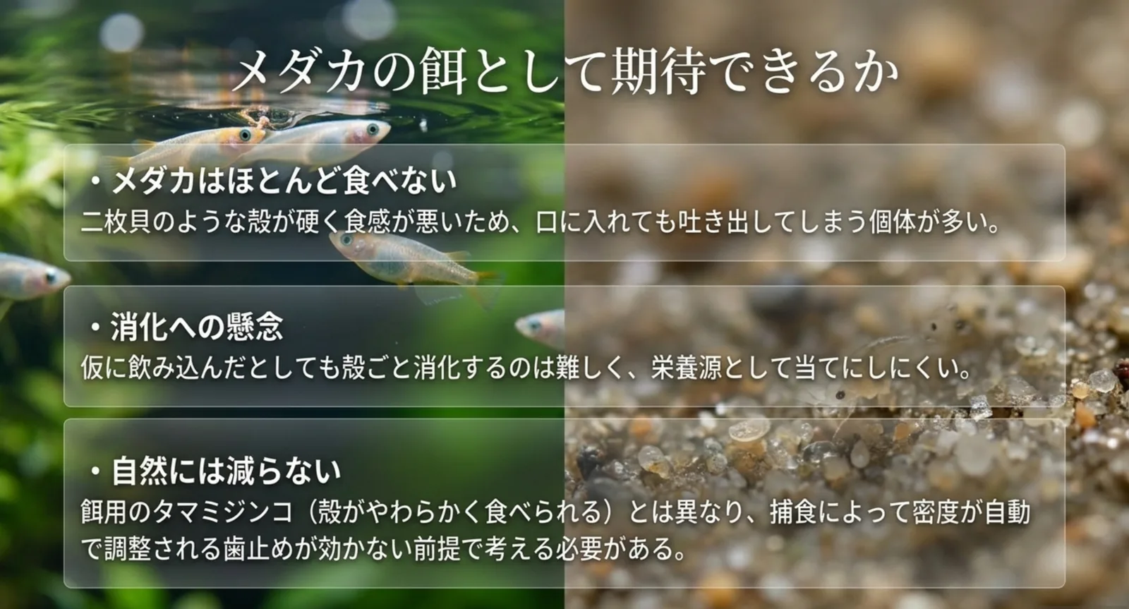 殻が硬く食べない・消化しにくい・自然には減らないという3点を並べた図