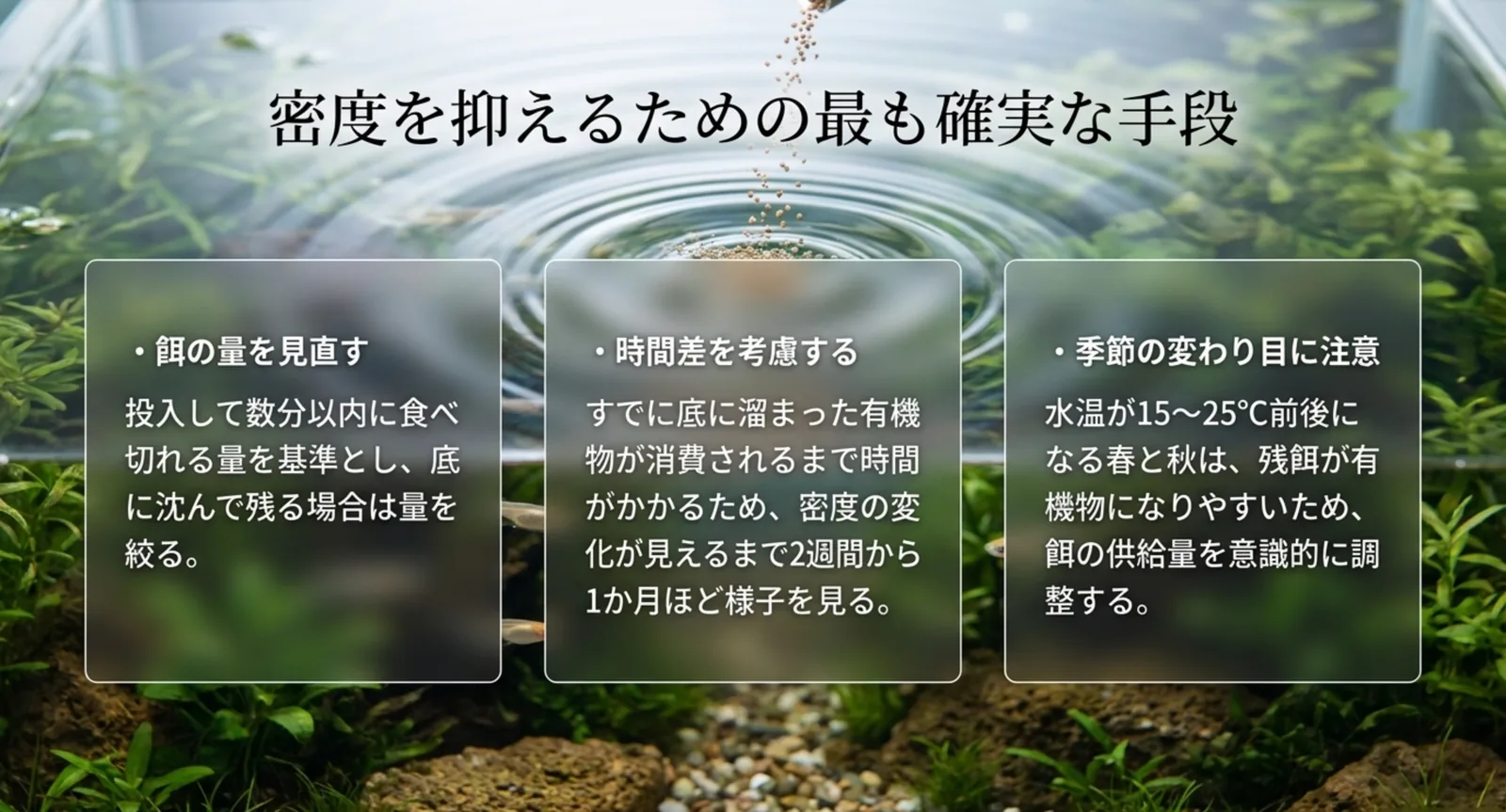 餌の量を見直す・変化まで2週間から1か月の時間差・春と秋の季節の変わり目に注意という3点を並べた図