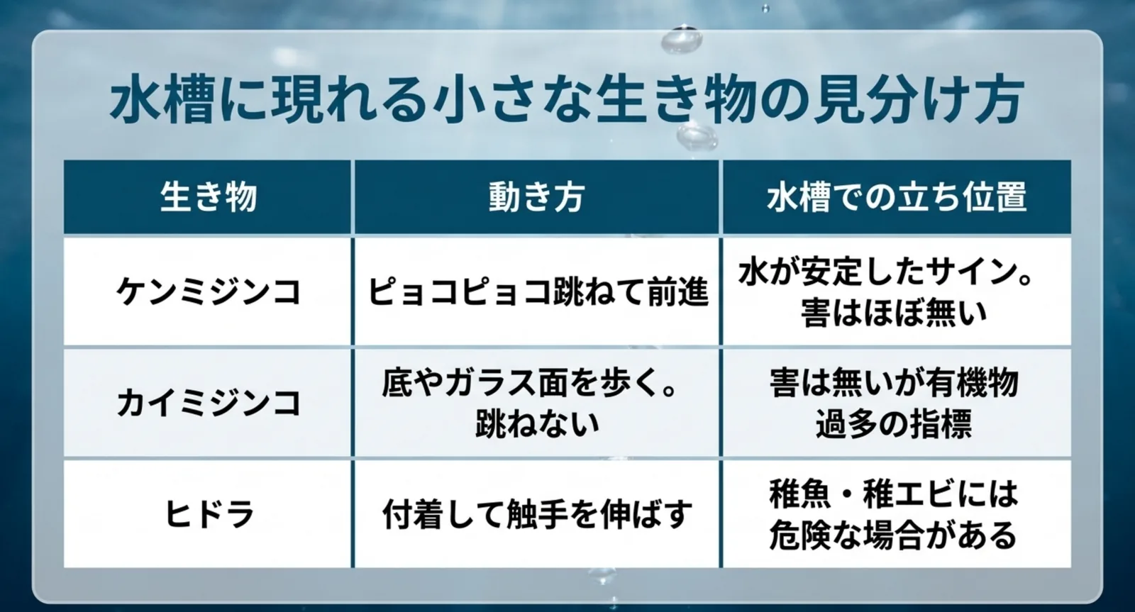 ケンミジンコ・カイミジンコ・ヒドラの動き方と水槽での立ち位置を比べた表