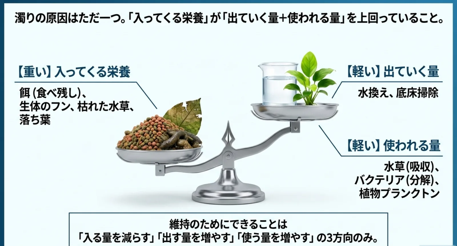 入ってくる栄養と、出ていく量・使われる量を天秤で対比した図解