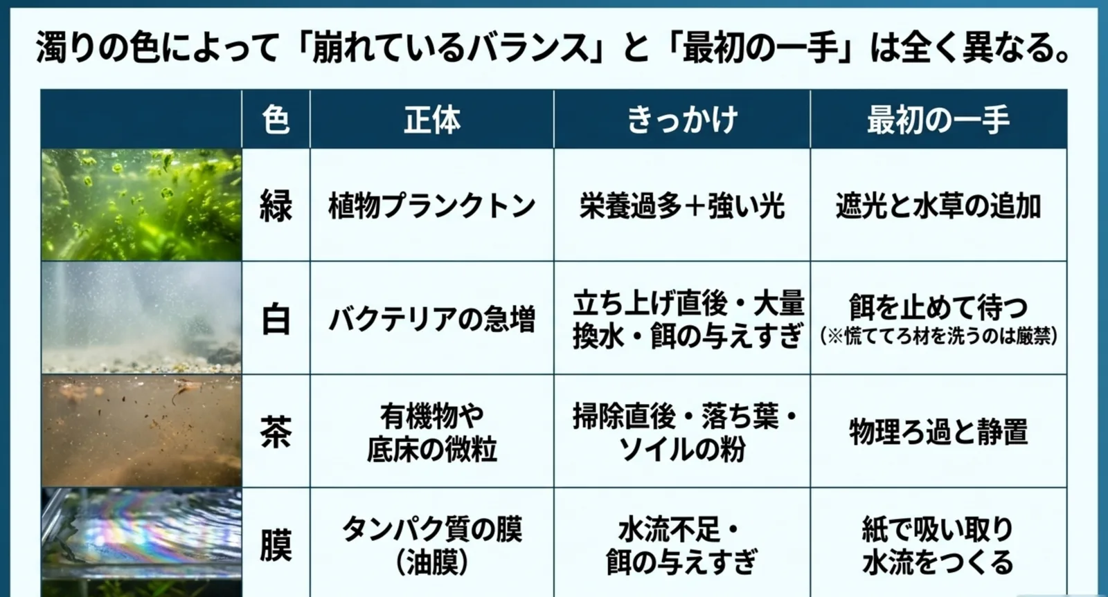 緑・白・茶・水面の膜という4種類の濁りを正体と対処で比較した一覧表