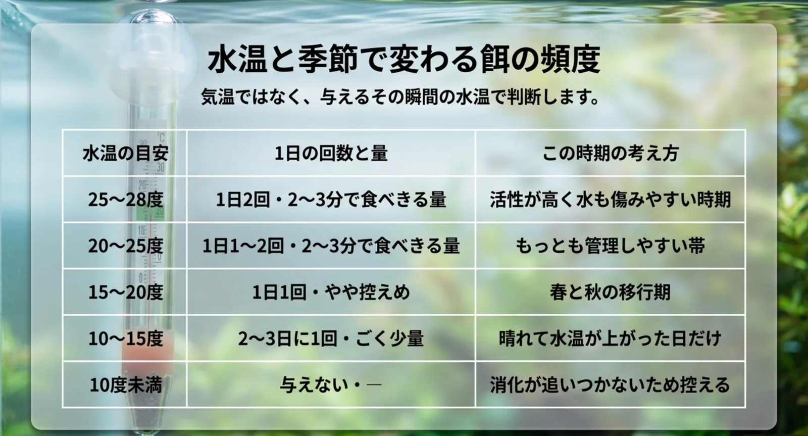25〜28度から10度未満までの水温帯ごとに1日の回数と量の目安、その時期の考え方を対応させた表のスライド