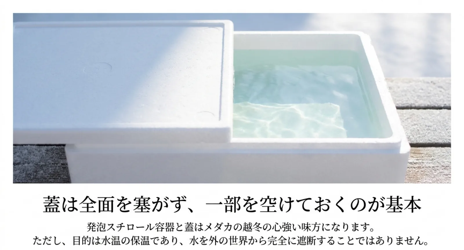 発泡スチロール容器の水面が半分だけ蓋で覆われ、残りが開いている状態を示したスライド