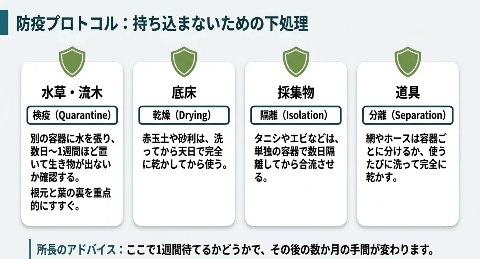 水草の検疫、底床の乾燥、採集物の隔離、道具の分離という4つの下処理を並べた図解