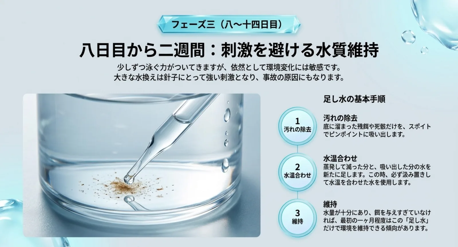 スポイトで底の残餌を吸い出す写真と、汚れの除去・水温を合わせた足し水・足し水だけで維持という3段階の手順を示した図