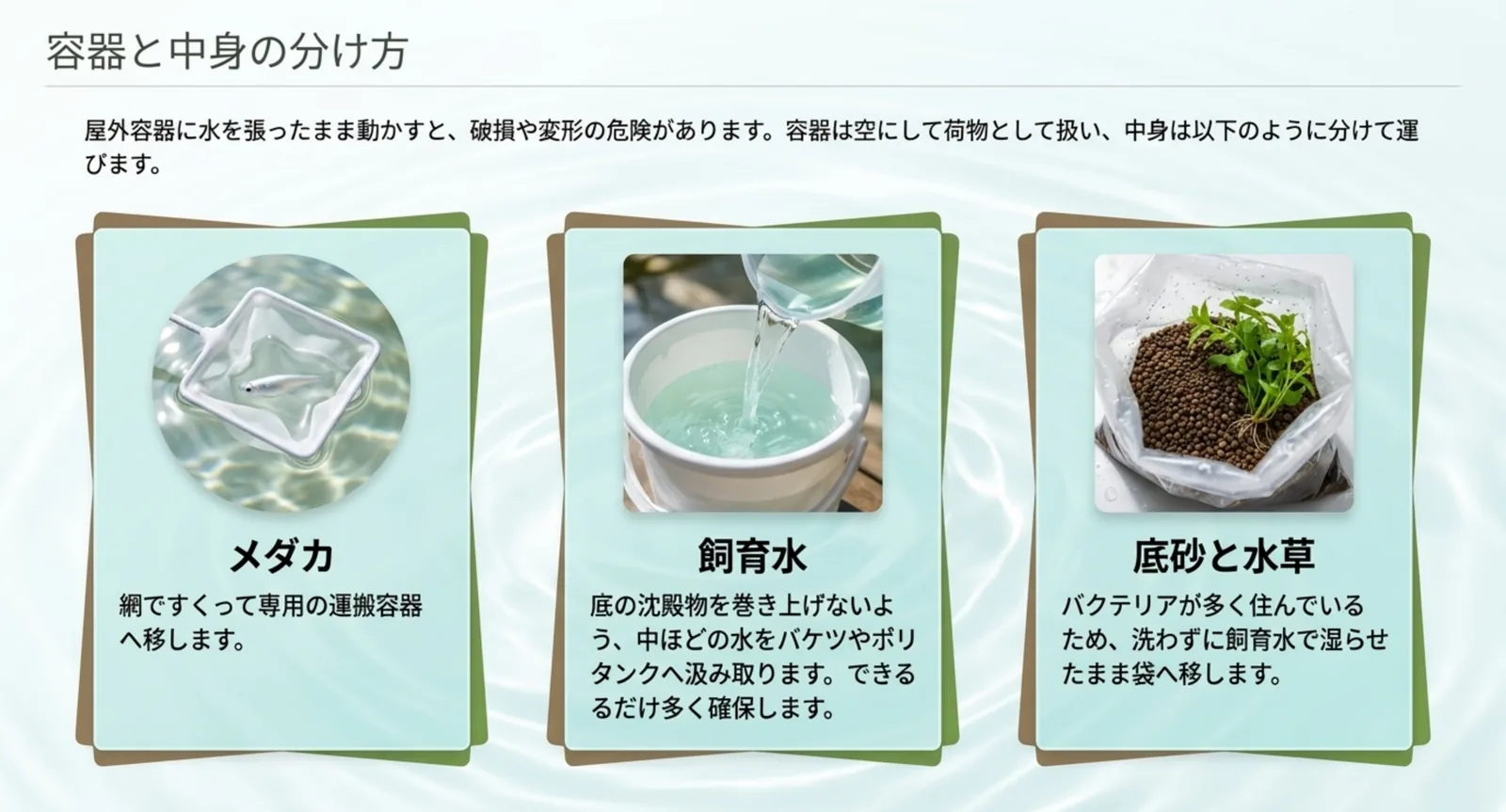 メダカ・飼育水・底砂と水草の3つに分けて運ぶ方法を、それぞれの扱い方の説明とともに並べたスライド