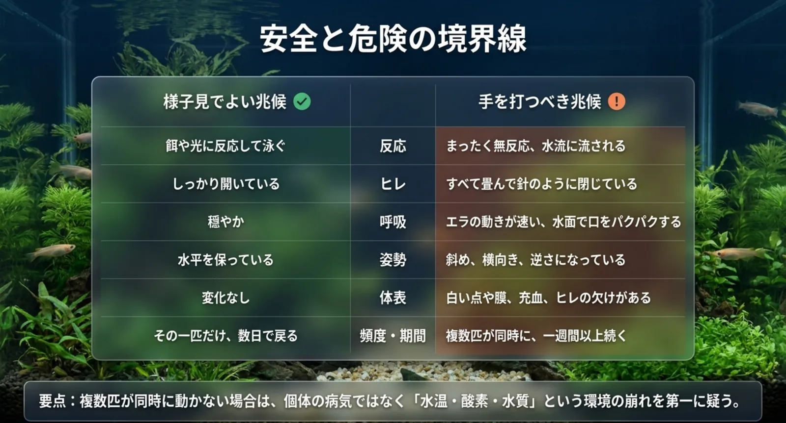 反応・ヒレ・呼吸・姿勢・体表・頻度で様子見と要対処を対比した一覧表