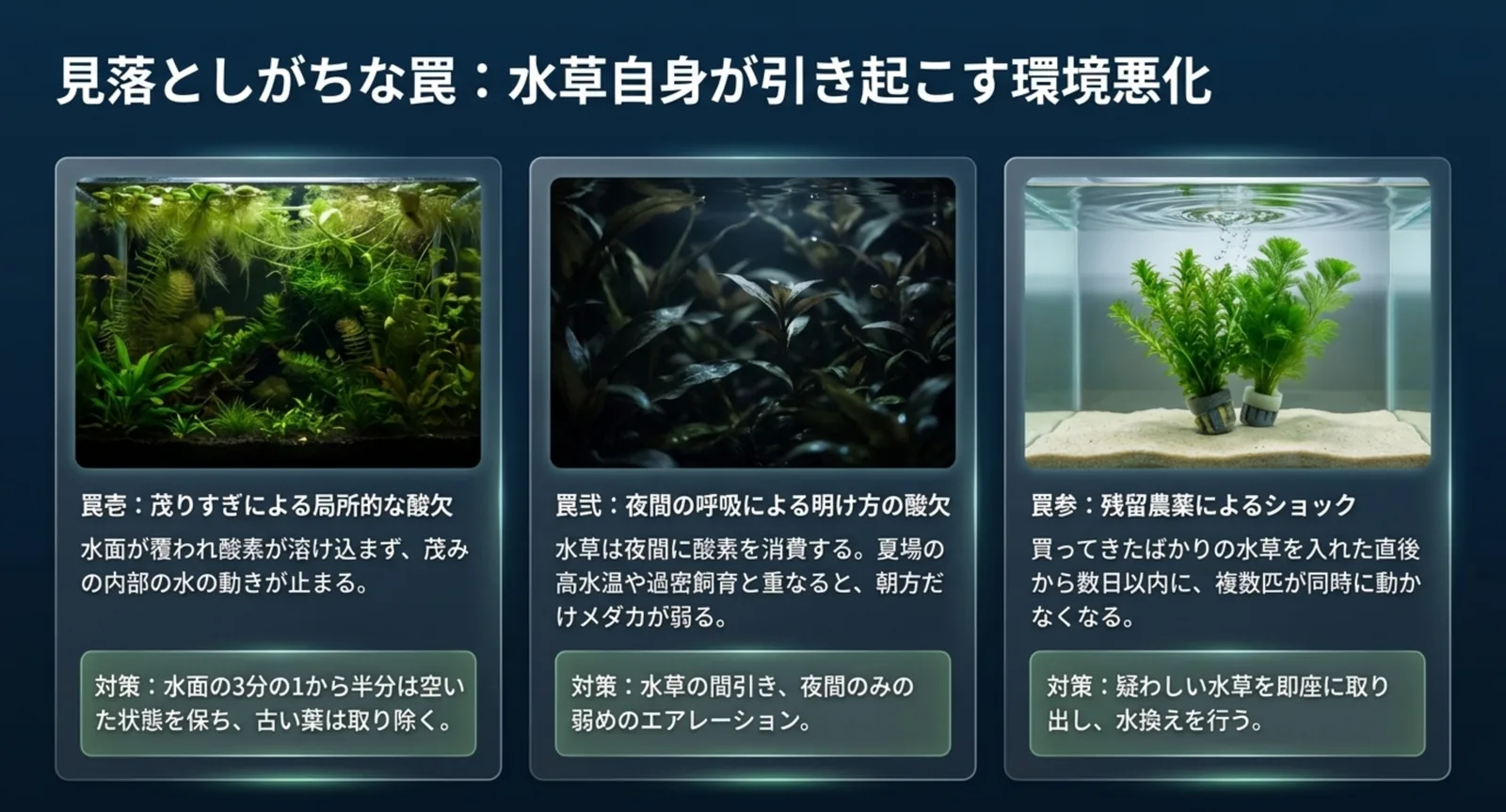 茂りすぎによる局所的な酸欠、夜間の呼吸による明け方の酸欠、残留農薬の3つを並べた図解