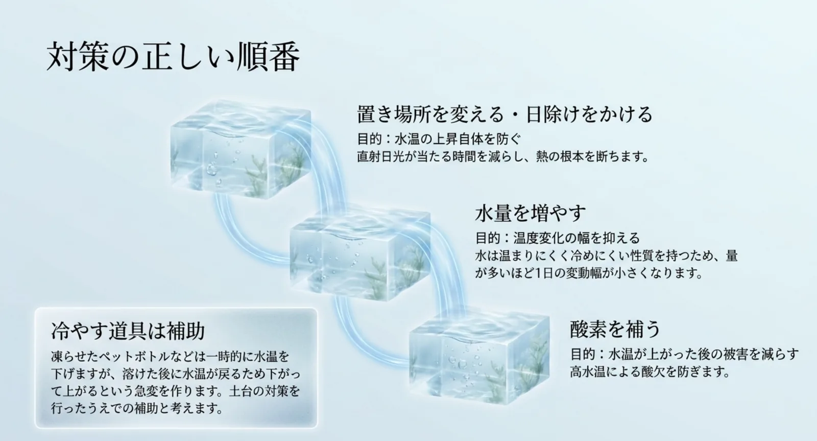 置き場所と日除け・水量・酸素という夏の対策を効果の大きい順に段階で示し、冷やす道具は補助だと添えたスライド