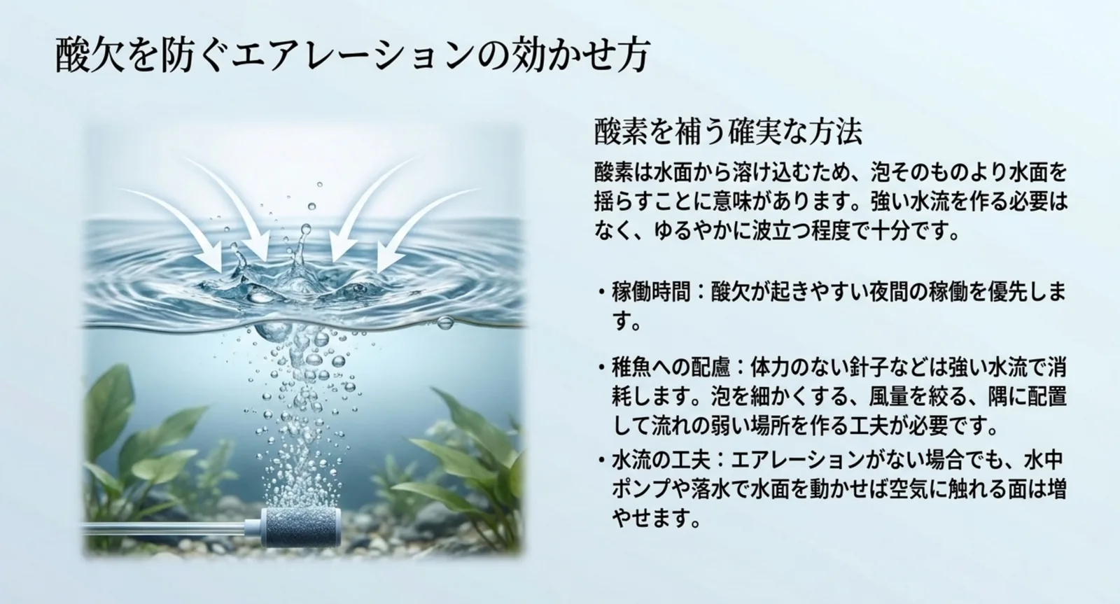 酸素は水面から溶け込むという原理と、稼働時間・稚魚への配慮・水流の工夫という3つの注意点をまとめたスライド