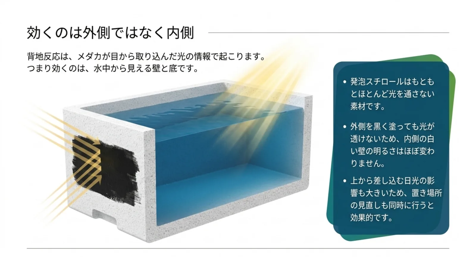 発泡スチロール容器の外側を黒く塗っても光が透けないため内側の白い壁の明るさが変わらないことを断面図で示したスライド